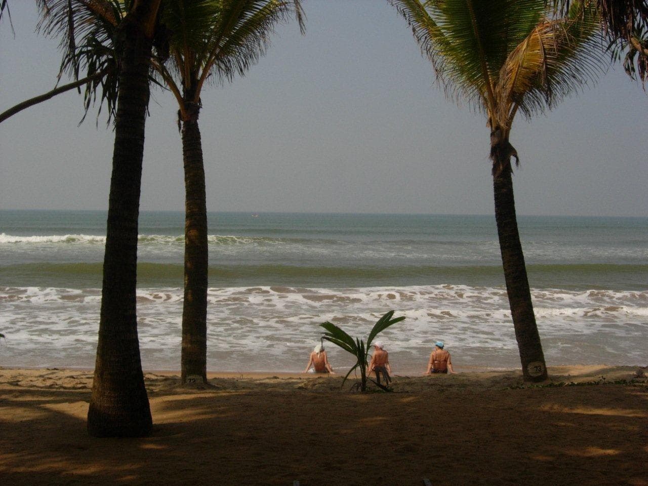 Siddhalepa Ayurveda Health Resort Ansicht 9