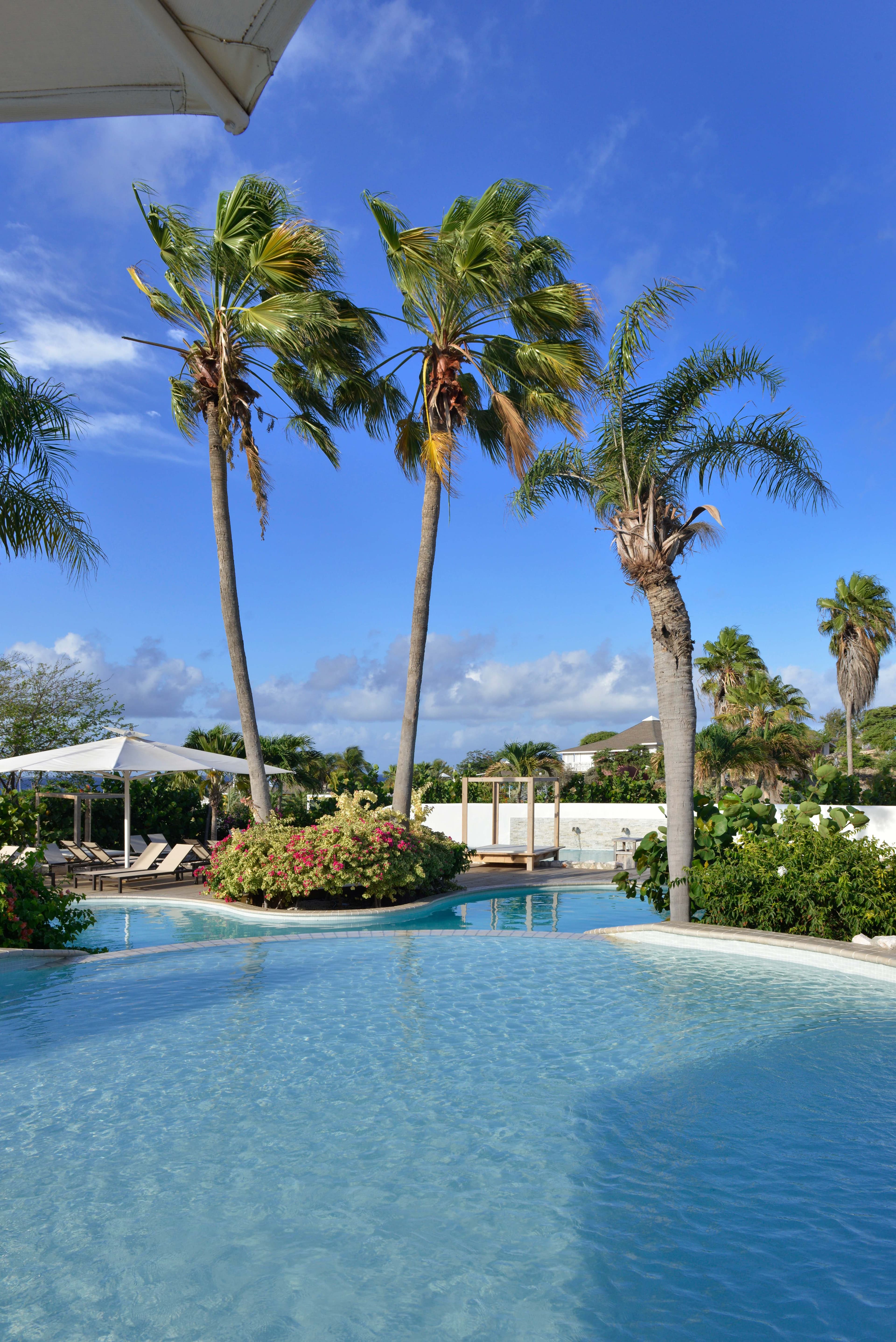 Chogogo Dive & Beach Resort Ansicht 8