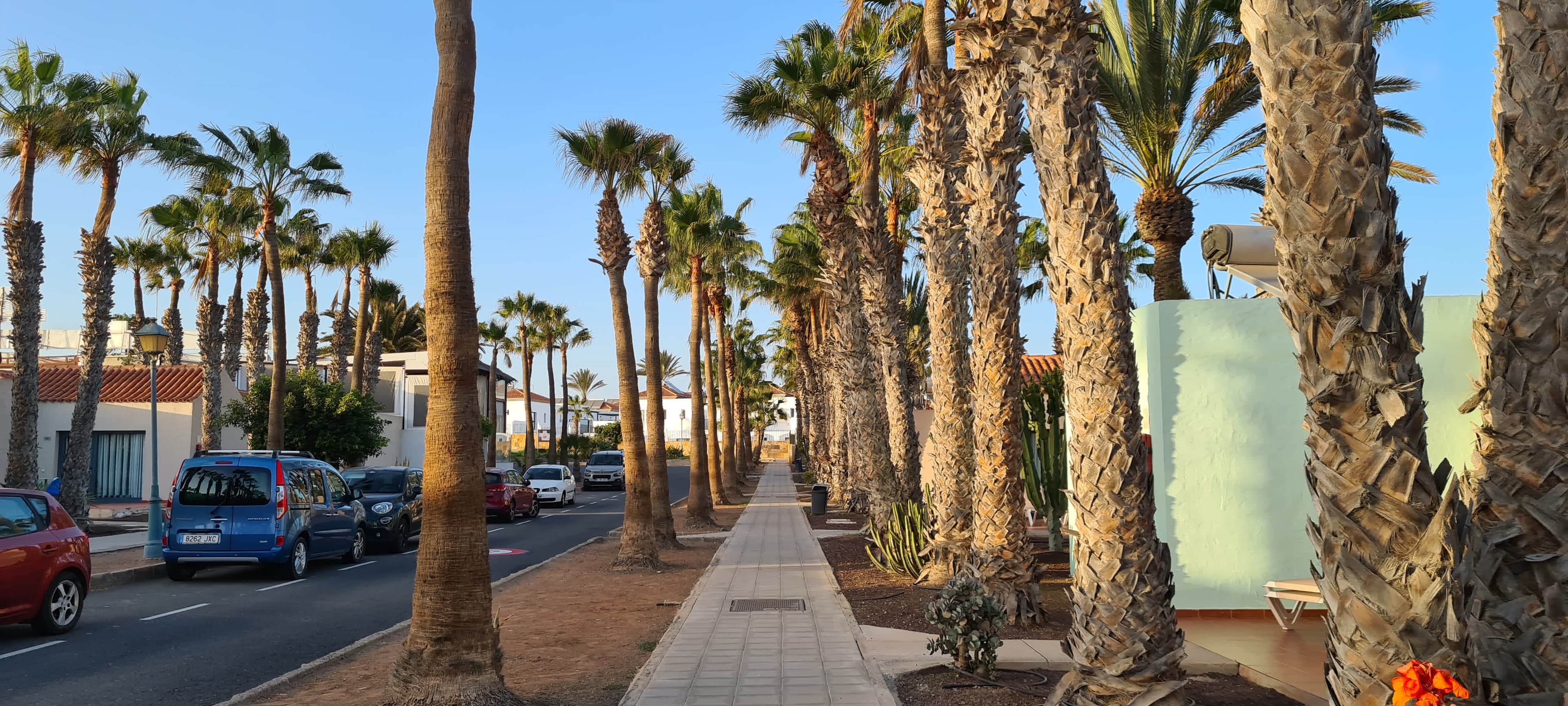 Caybeach Caleta Ansicht 2