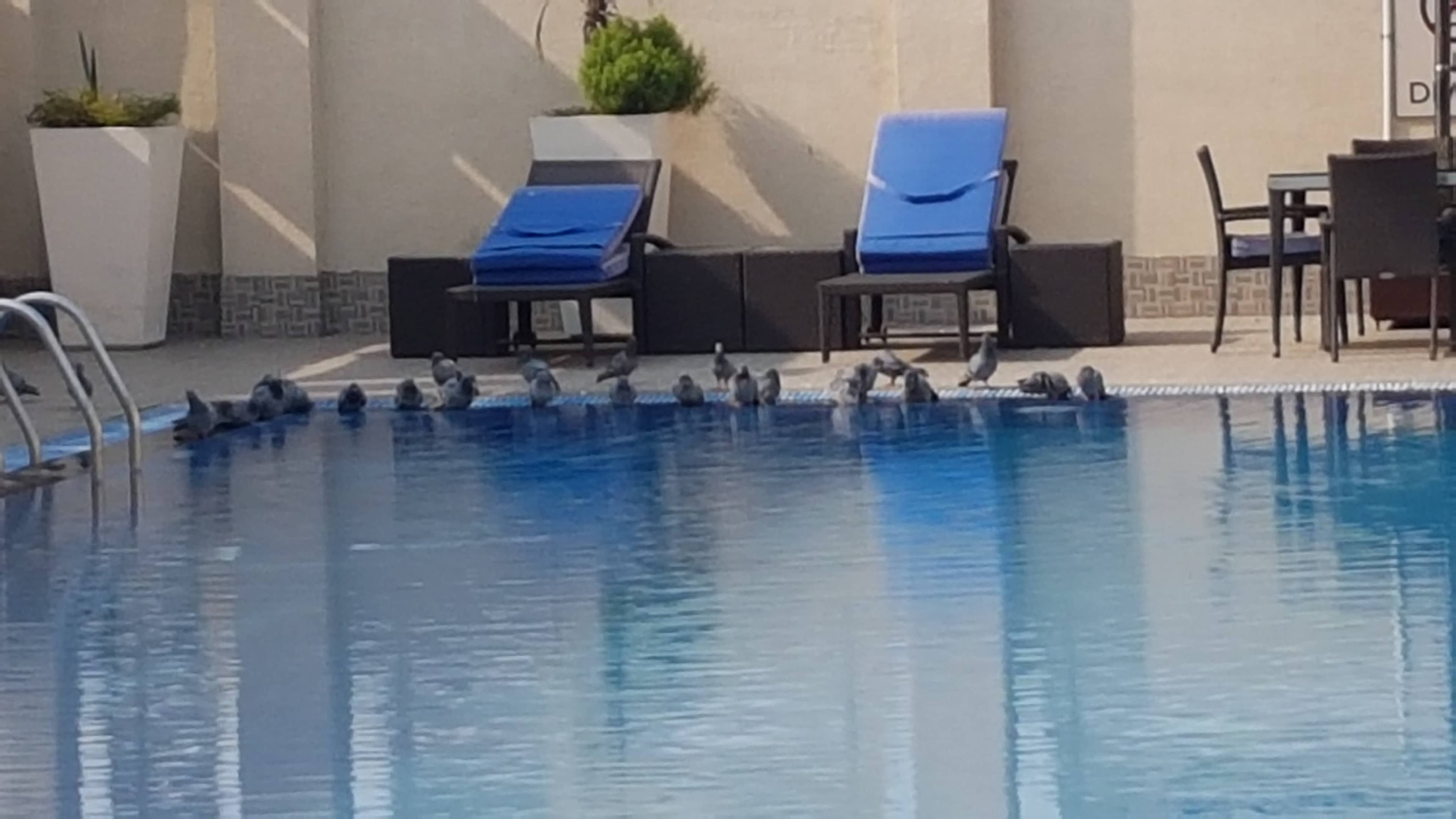 Hilton Garden Inn New Delhi /Saket Ansicht 7