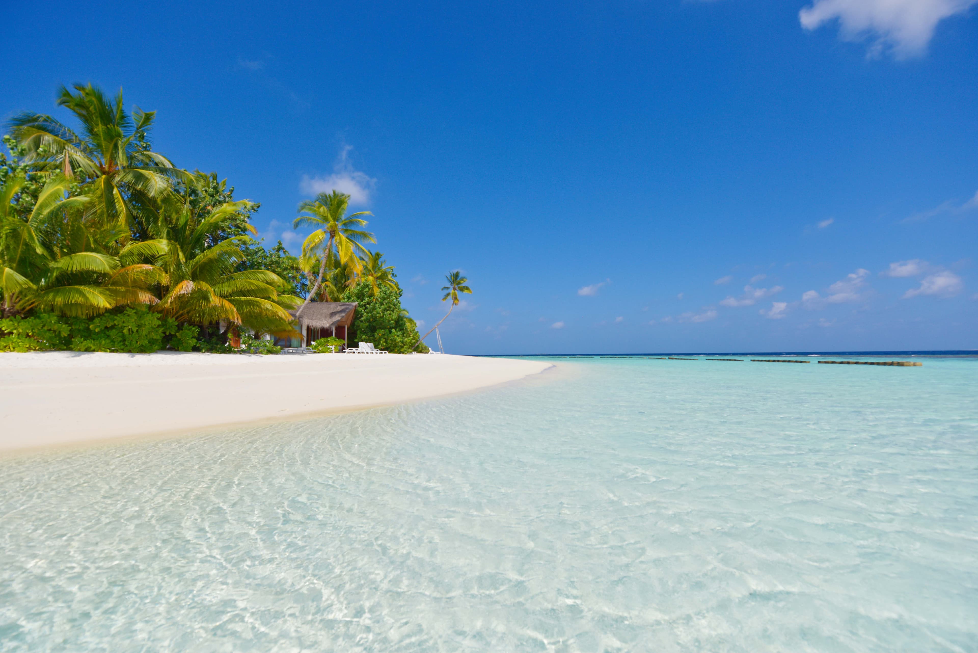 Safari Island Maldives Ansicht 8