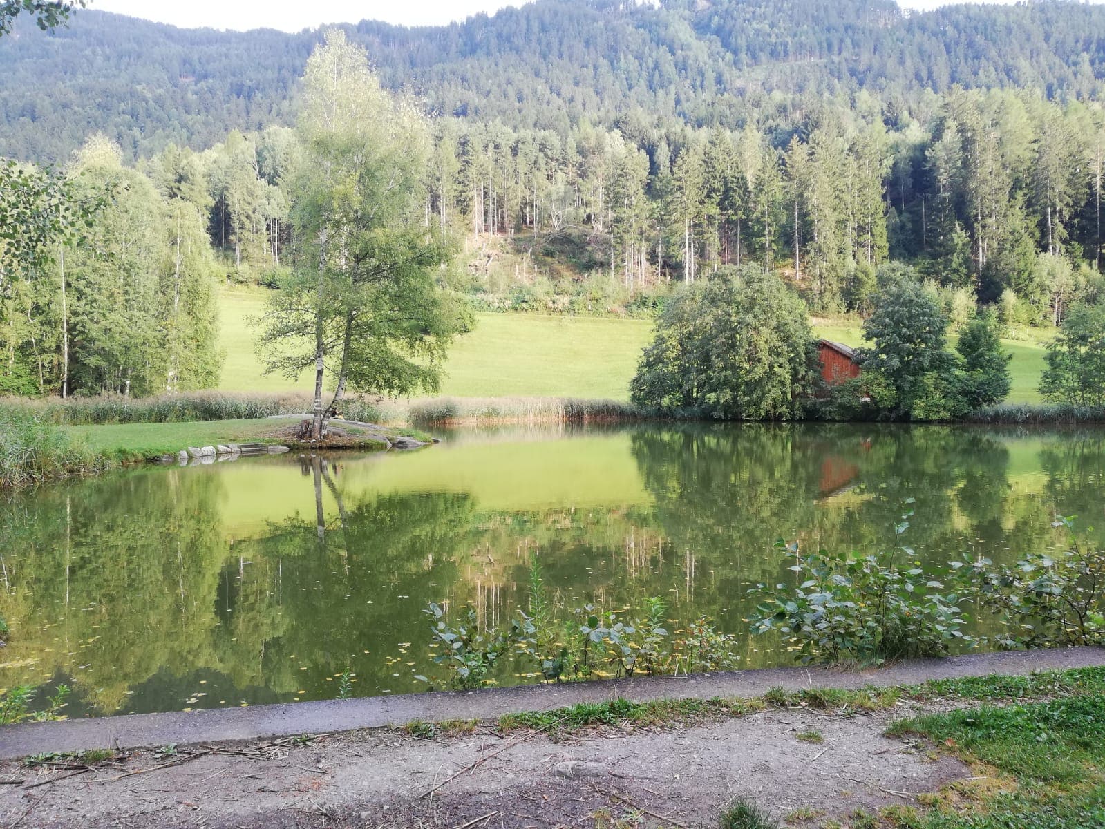 Hotel Tramserhof Ansicht 9