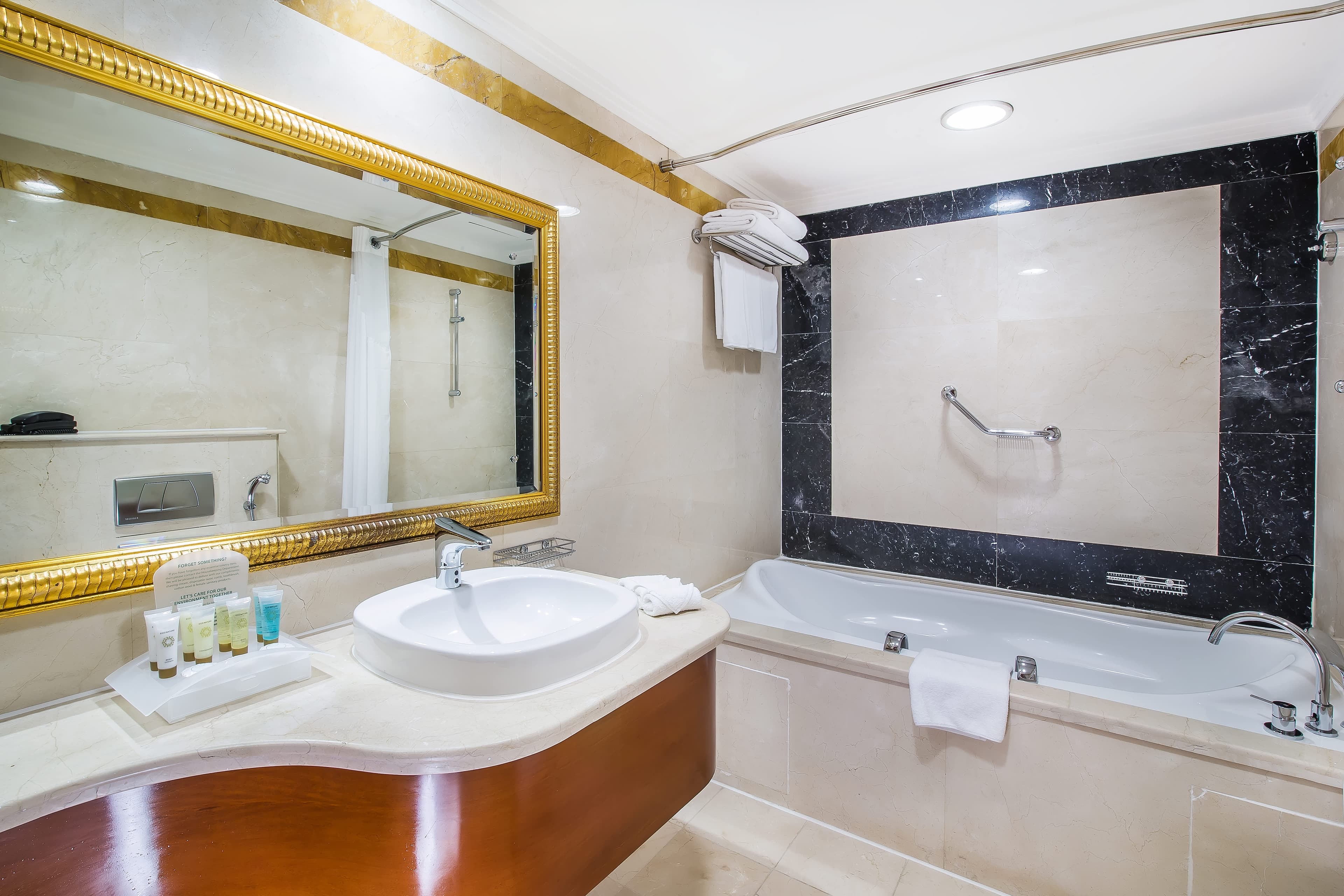 Holiday Inn Bur Dubai - Embassy District Ansicht 5