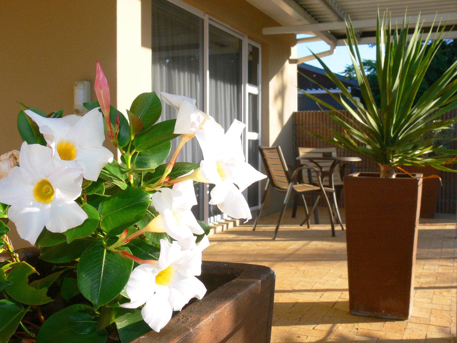 Hajo's Lodge Ansicht 3