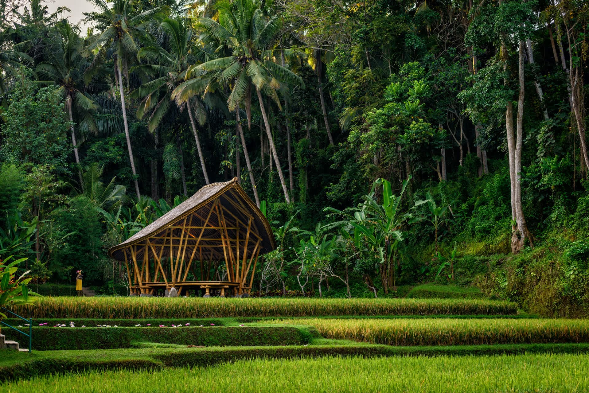 Four Seasons Resort Bali at Sayan Ansicht 10