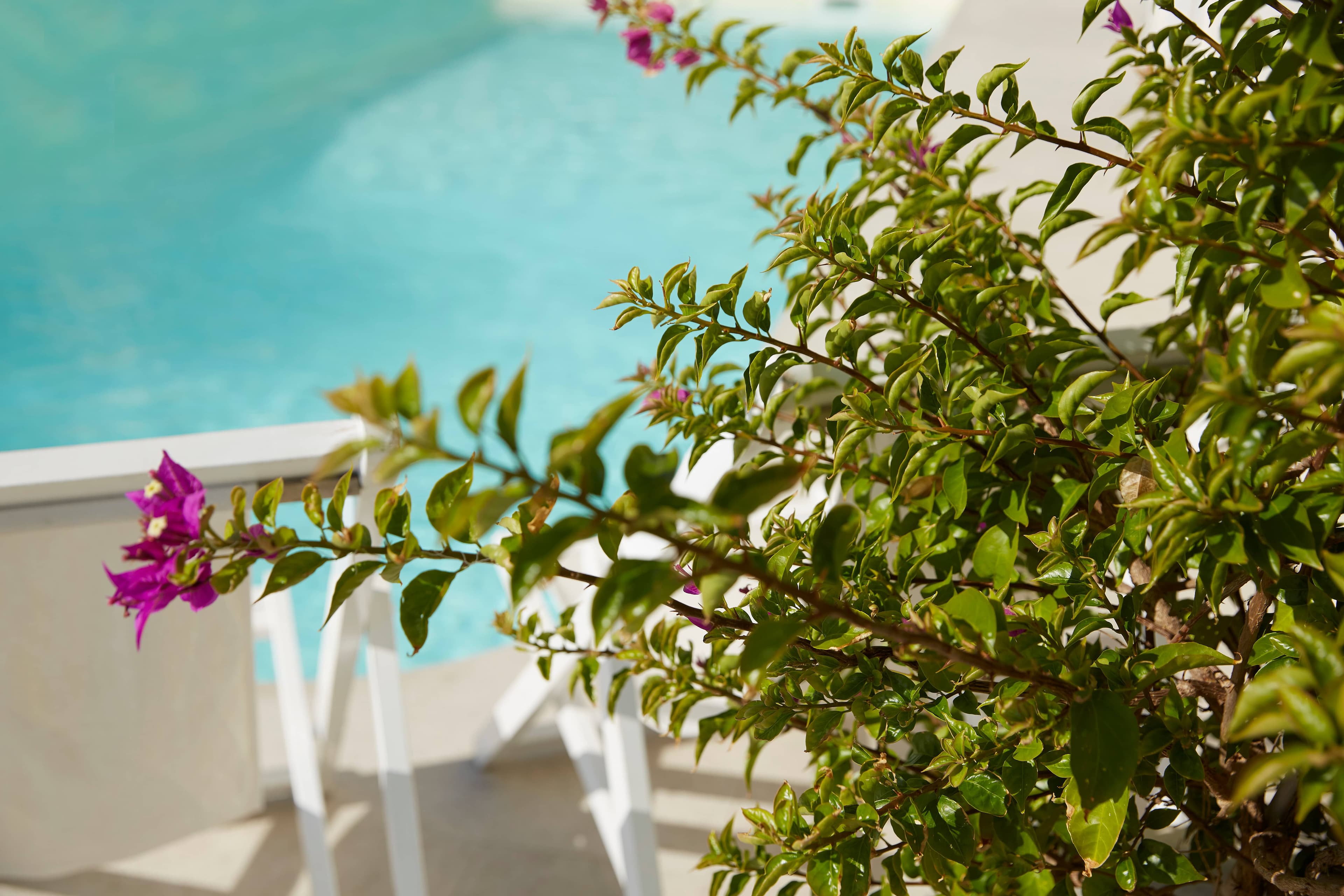 Mon Repos Palace - Adults only Ansicht 7