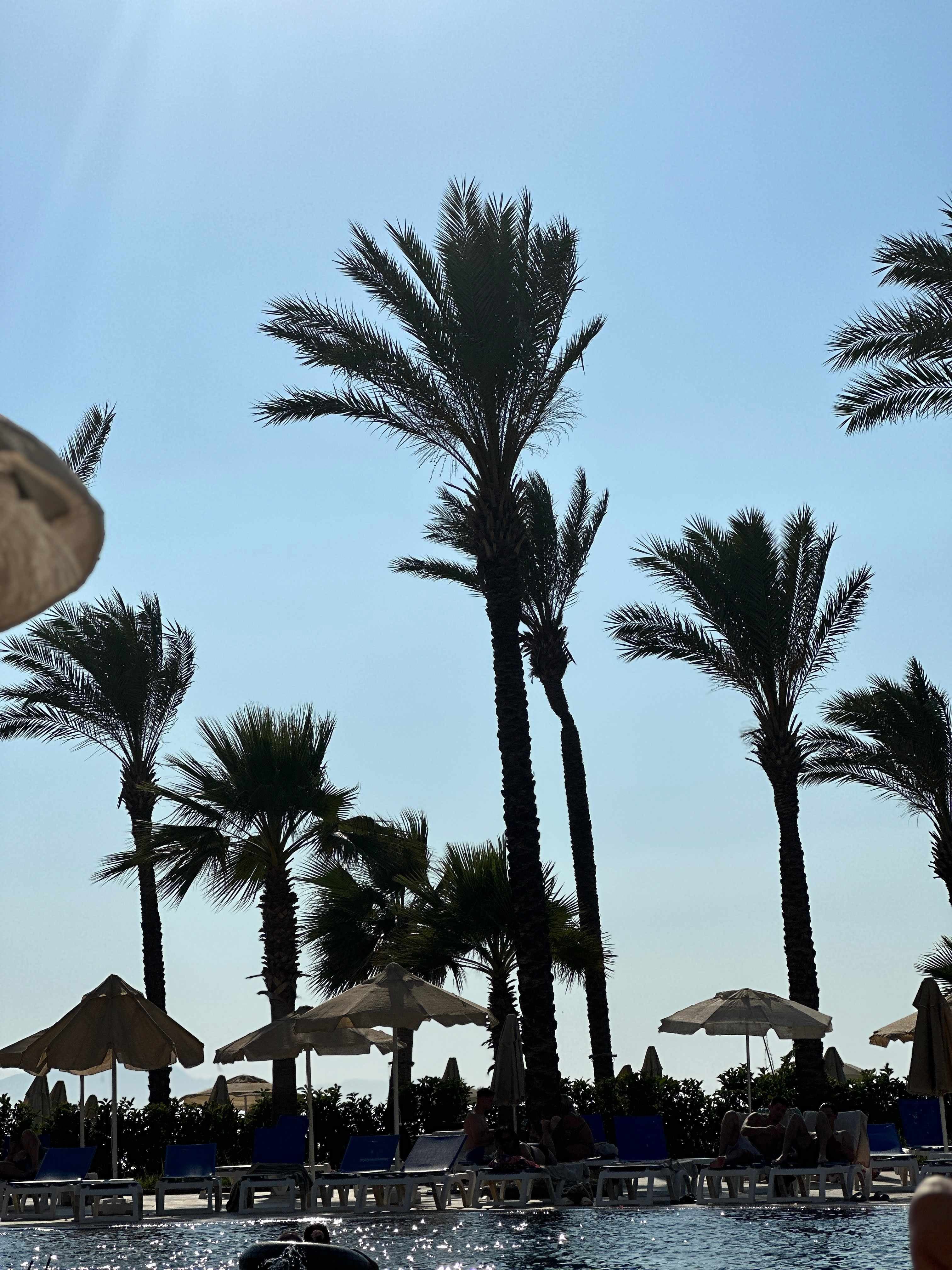 Arin Resort Bodrum Ansicht 4