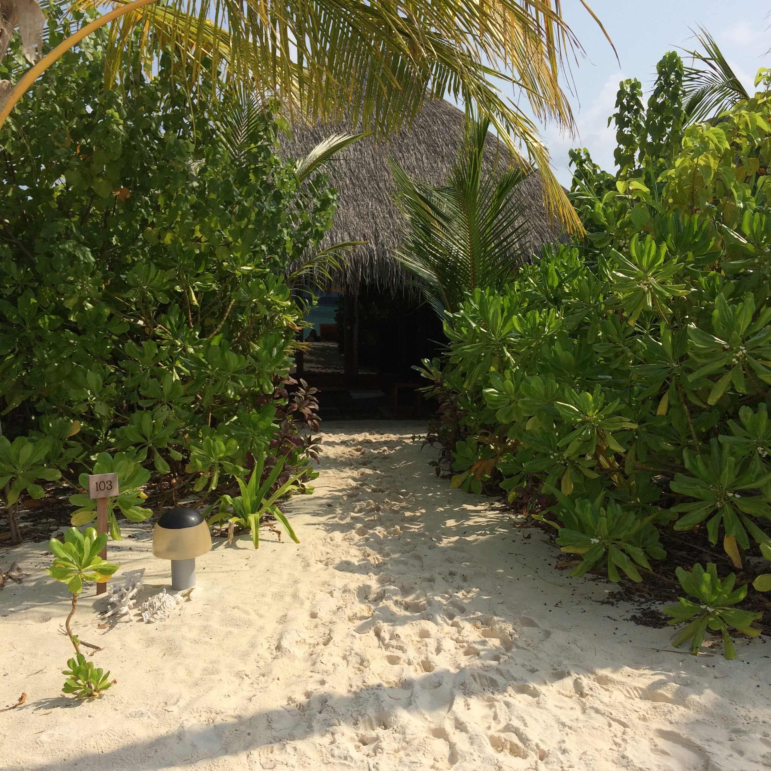 Dhigufaru Island Resort Ansicht 5