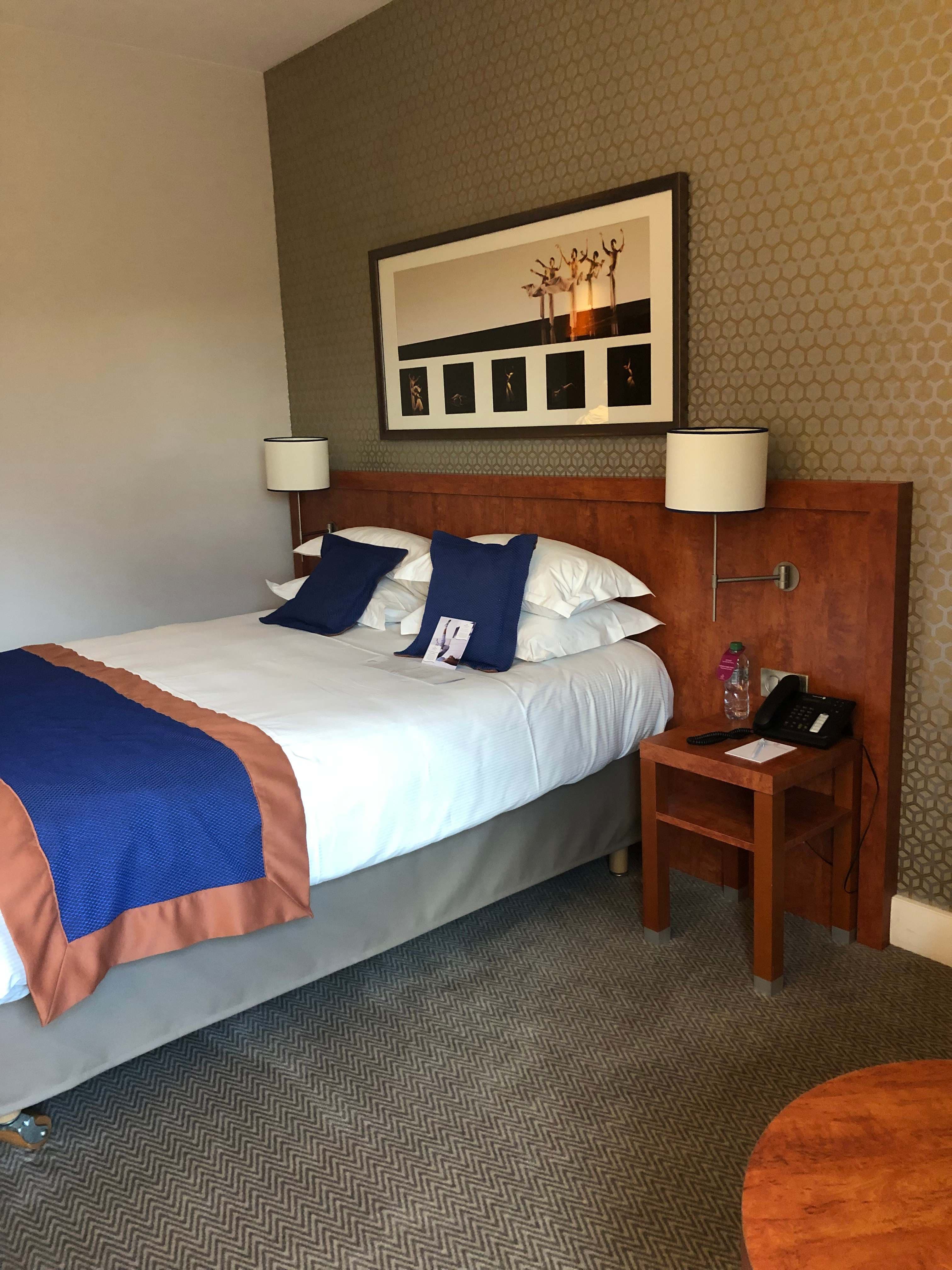 Crowne Plaza Hotel Lyon - Cite Internationale Ansicht 7