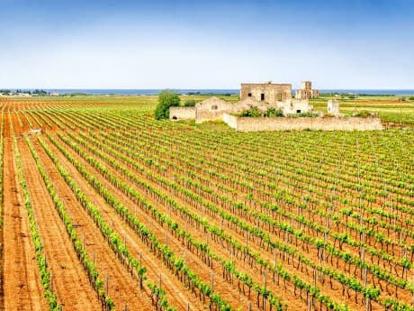 Rundreisen Italien - Apulien: Flexible Mietwagen-Rundreise ab/an Bari: Apulien für Genießer