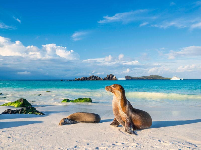 Rundreisen Ecuador & Galápagos-Inseln: Naturwunder hautnah erleben