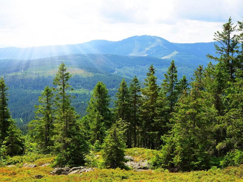 Landhotel Rosenberger, Wegscheid