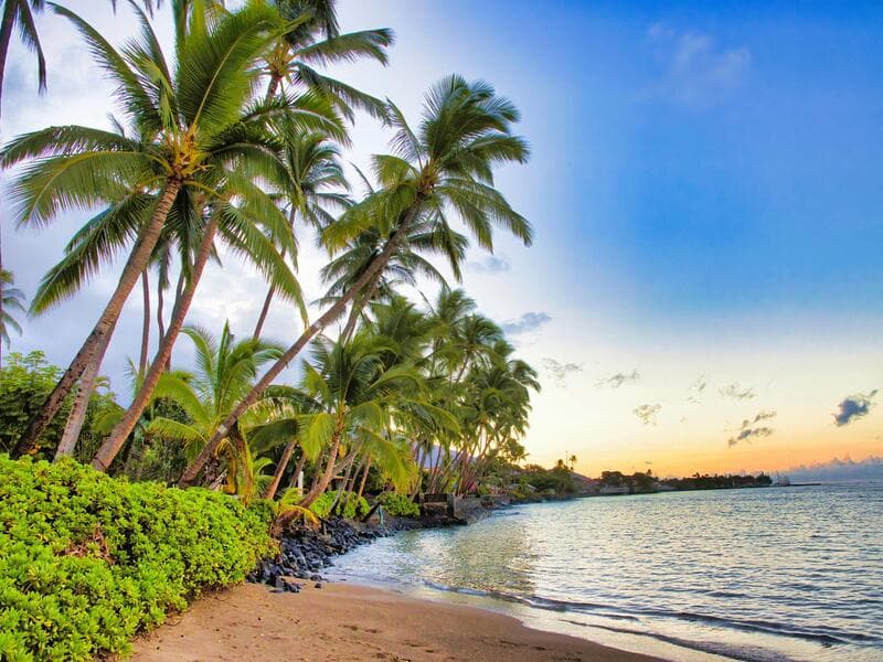 Crown Princess#°#Novotel Sydney City Centre, Sydney