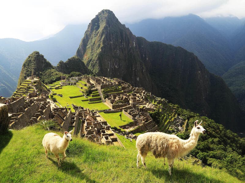 Oosterdam#°#Windsor Florida, Rio de Janeiro#°#Savoy Hotel Buenos Aires, Buenos Aires#°#Novotel Providencia, Santiago de Chile#°#Hotel Viale Cataratas, Foz do Iguacu