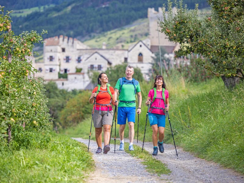 Eigene Anreise Italien - Südtirol: Wanderurlaub im Vinschgau ab/bis Mals