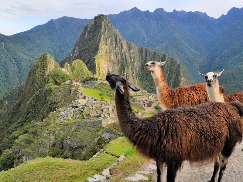 Rundreisen Peru, Bolivien, Chile, Argentinien & Brasilien: Zwischen Gipfeln, Regenwald und Wasserfällen unterwegs