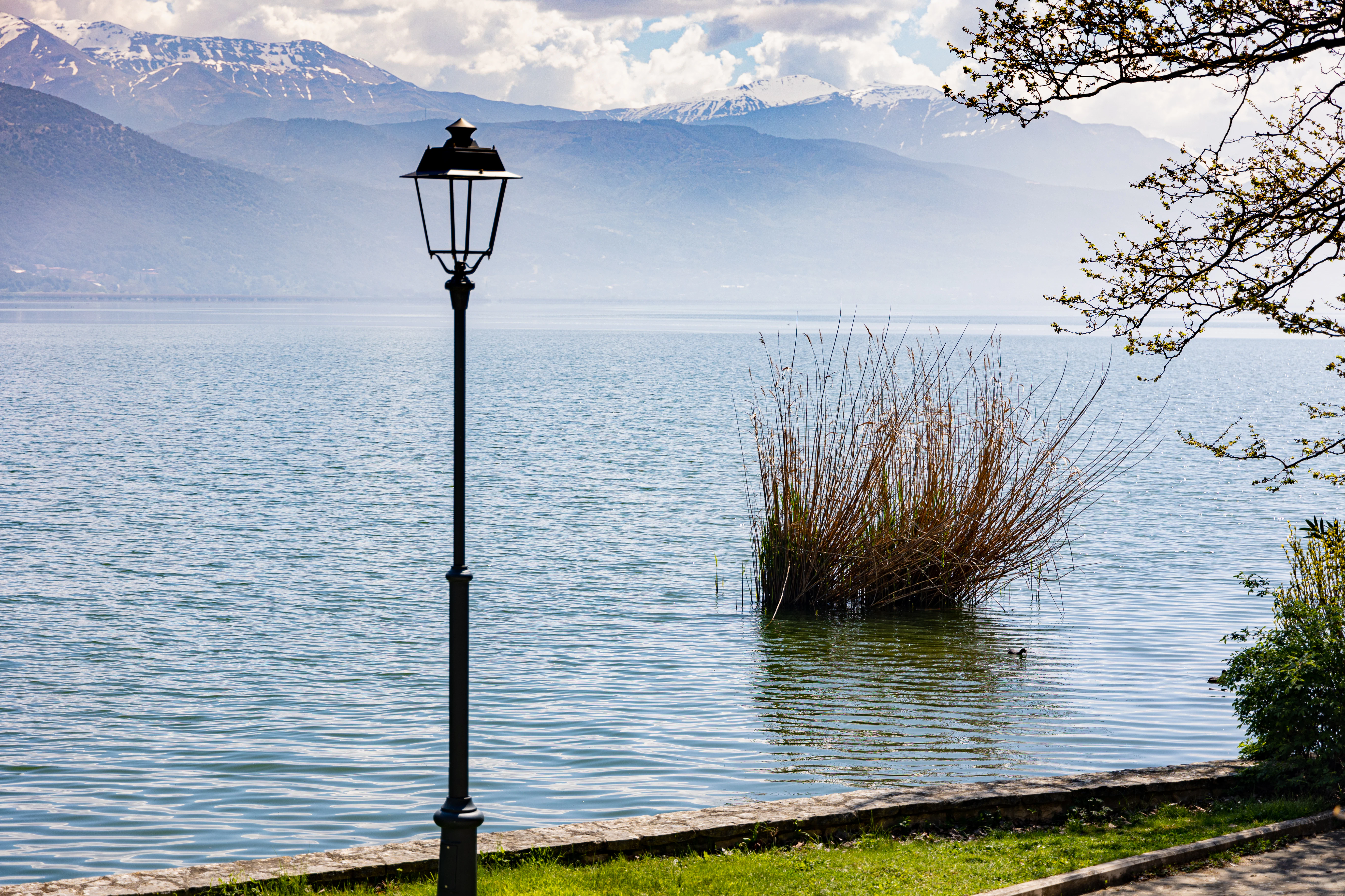 a lamp post sitting next to a body of water