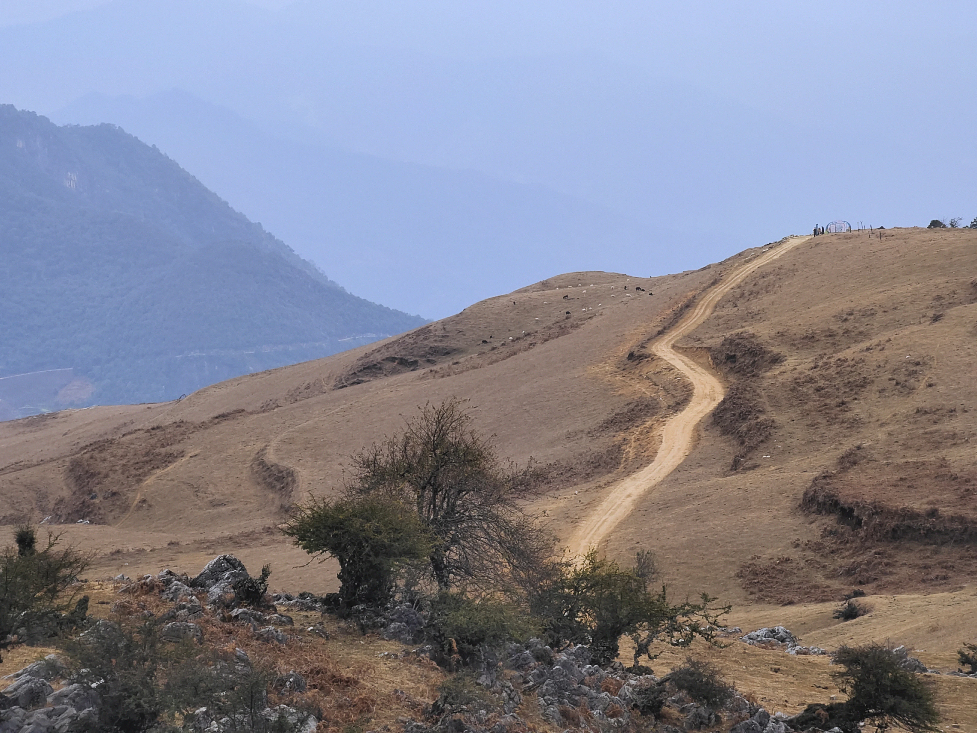 a dirt road going up a hill with a mountain in the background