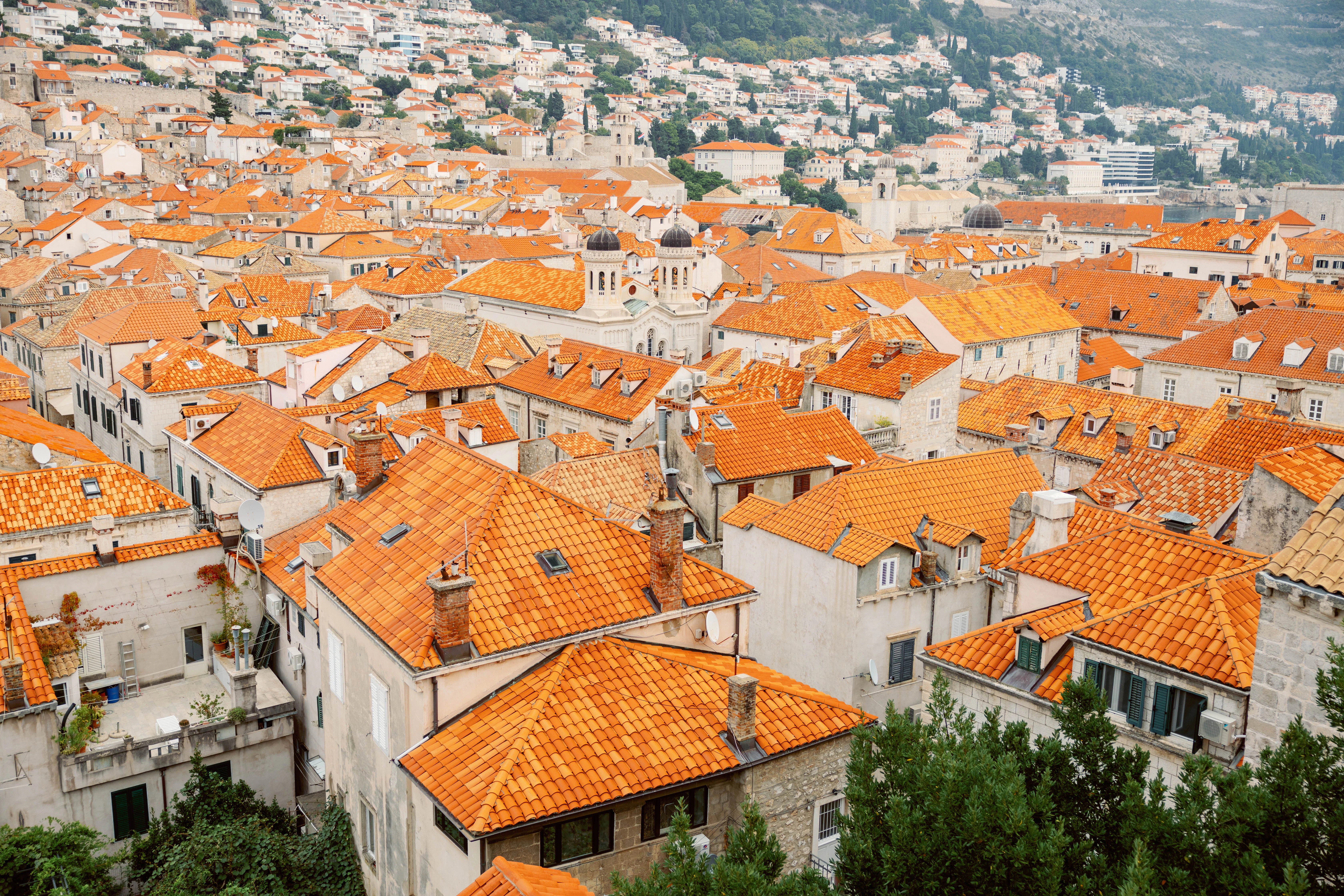 a large group of buildings with orange roofs