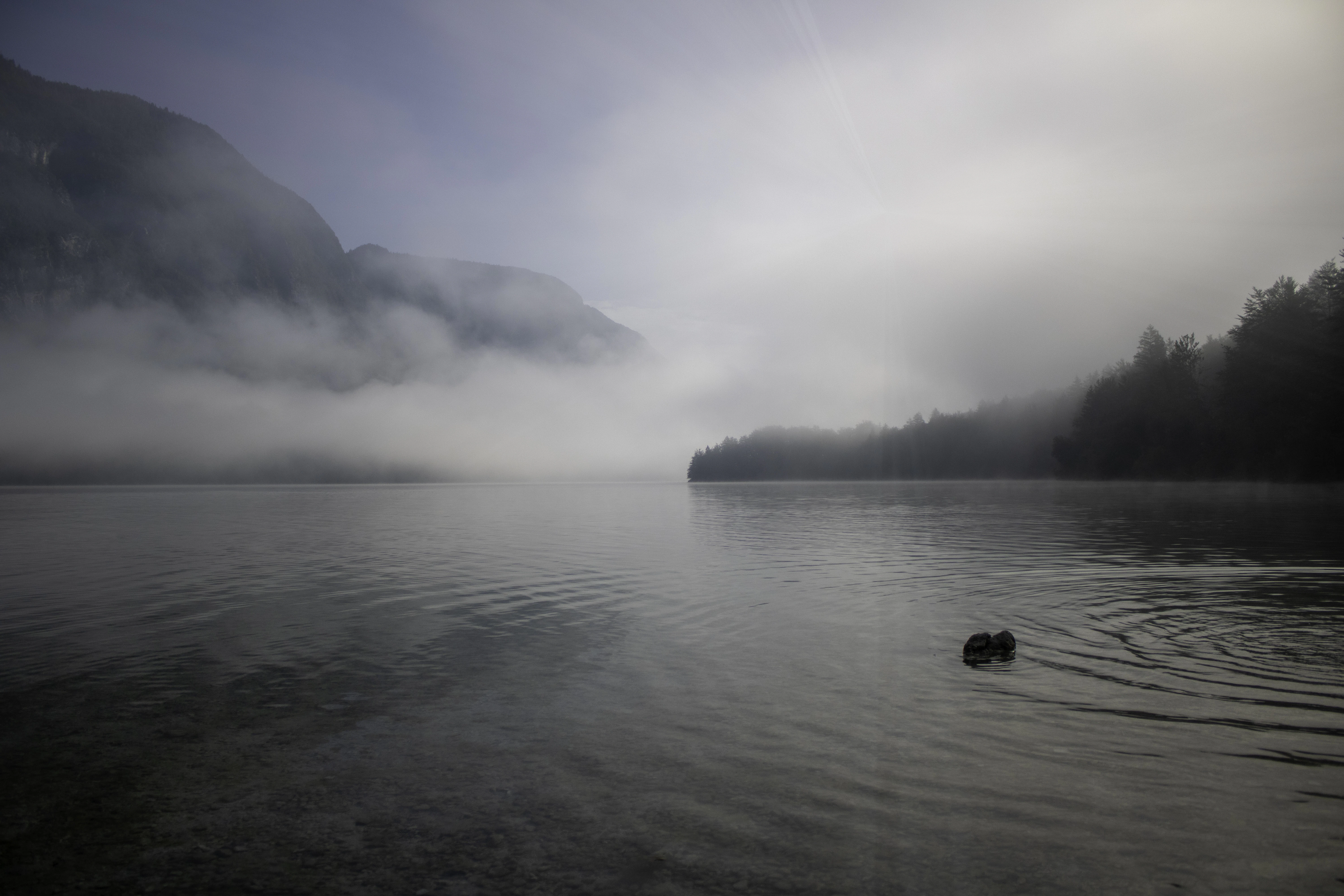 a body of water surrounded by trees and fog