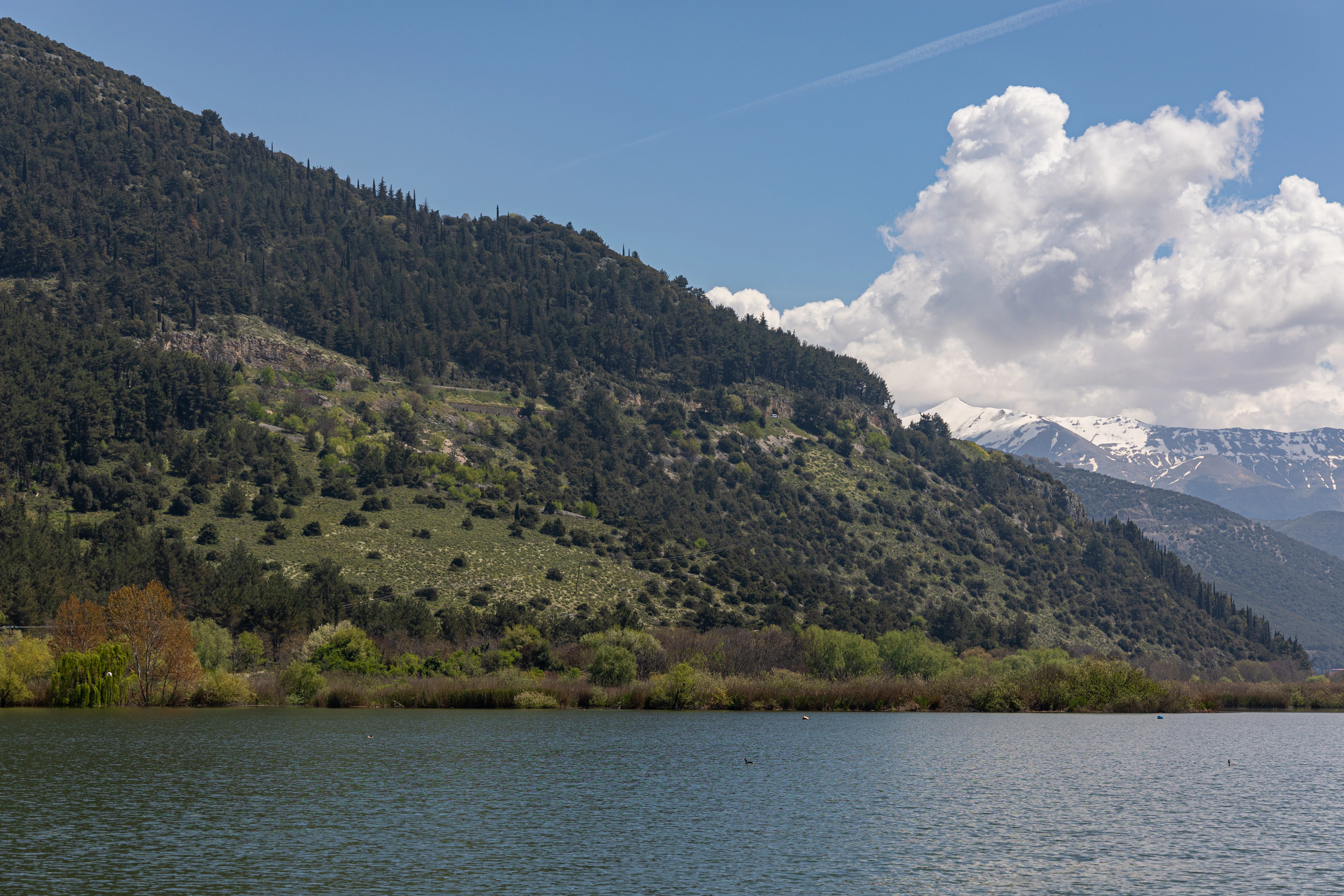 a large body of water with mountains in the background
