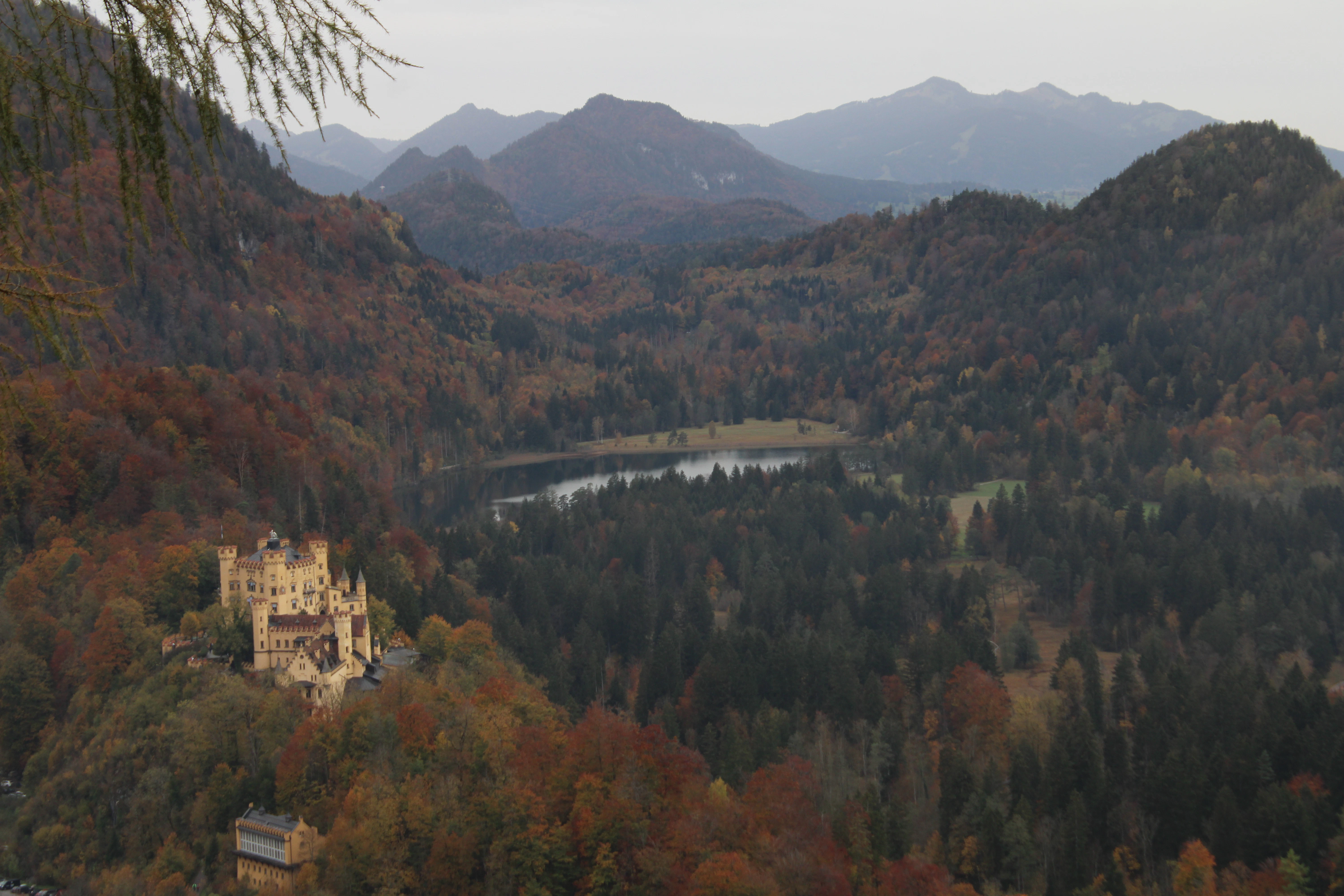 A castle in the middle of a forest with mountains in the background