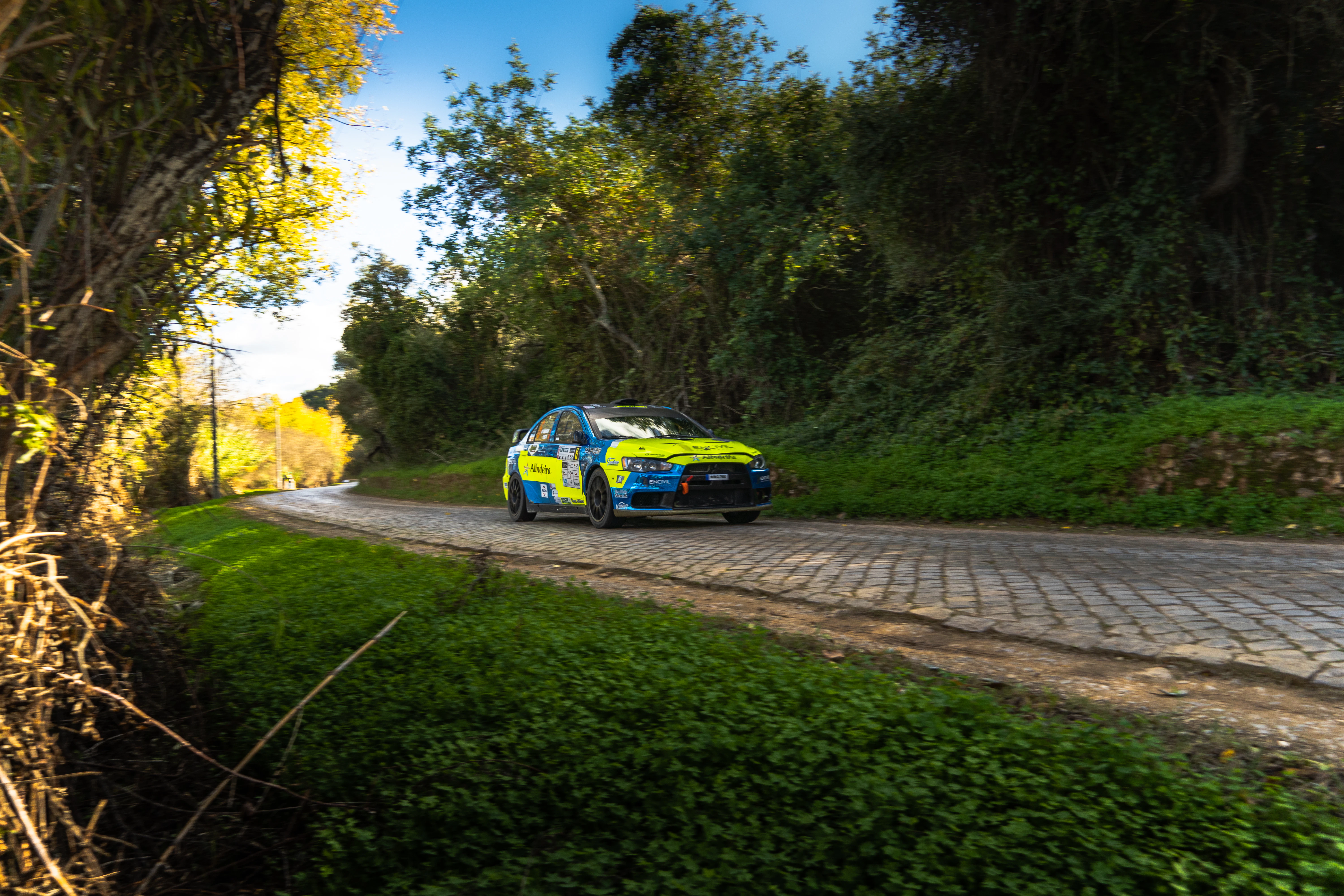 Rally car speeding down a tree-lined road