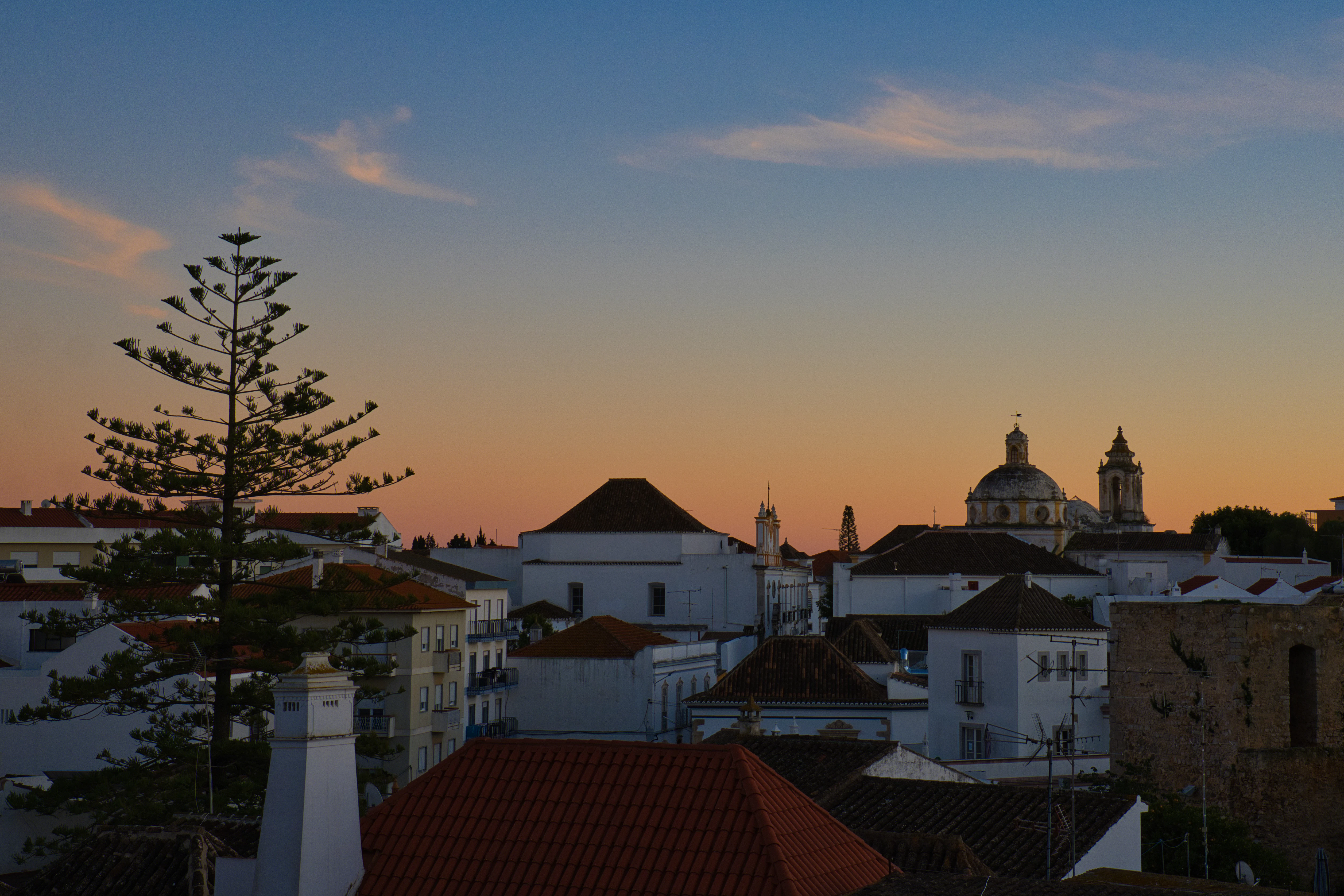 a view of a city at sunset with a tree in the foreground