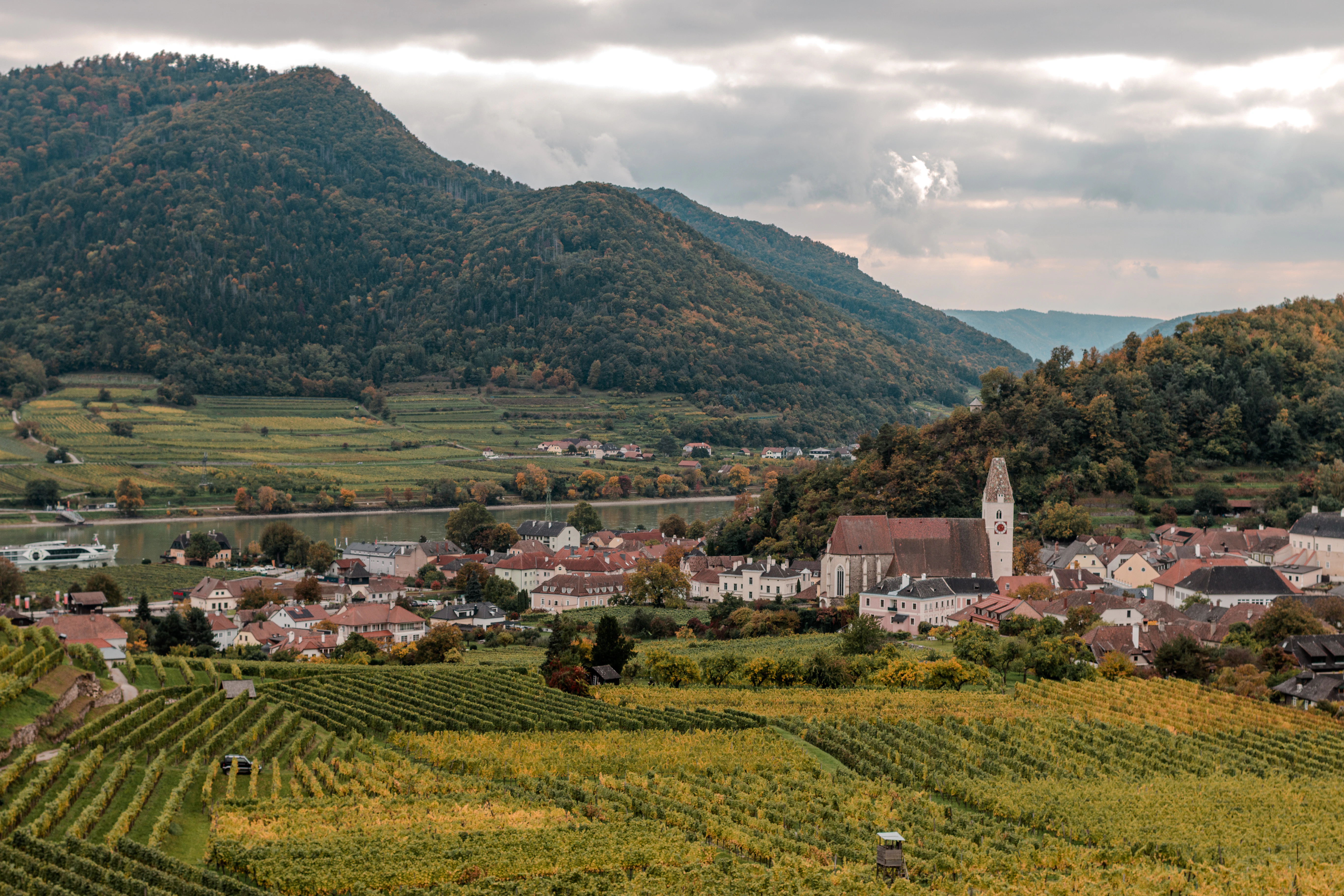 Vineyards and village nestled in a valley