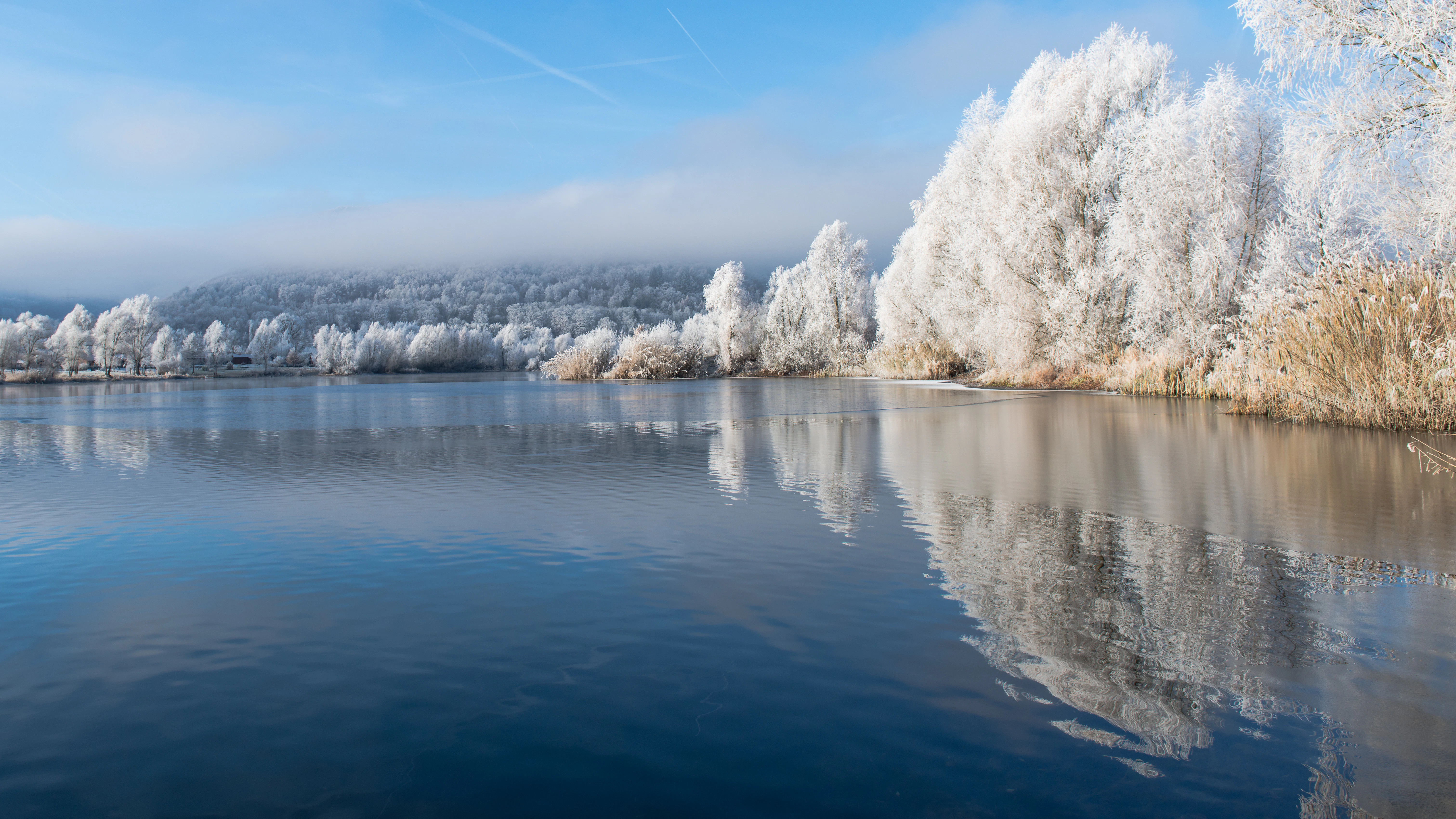 Frosted trees reflected in a calm winter lake.