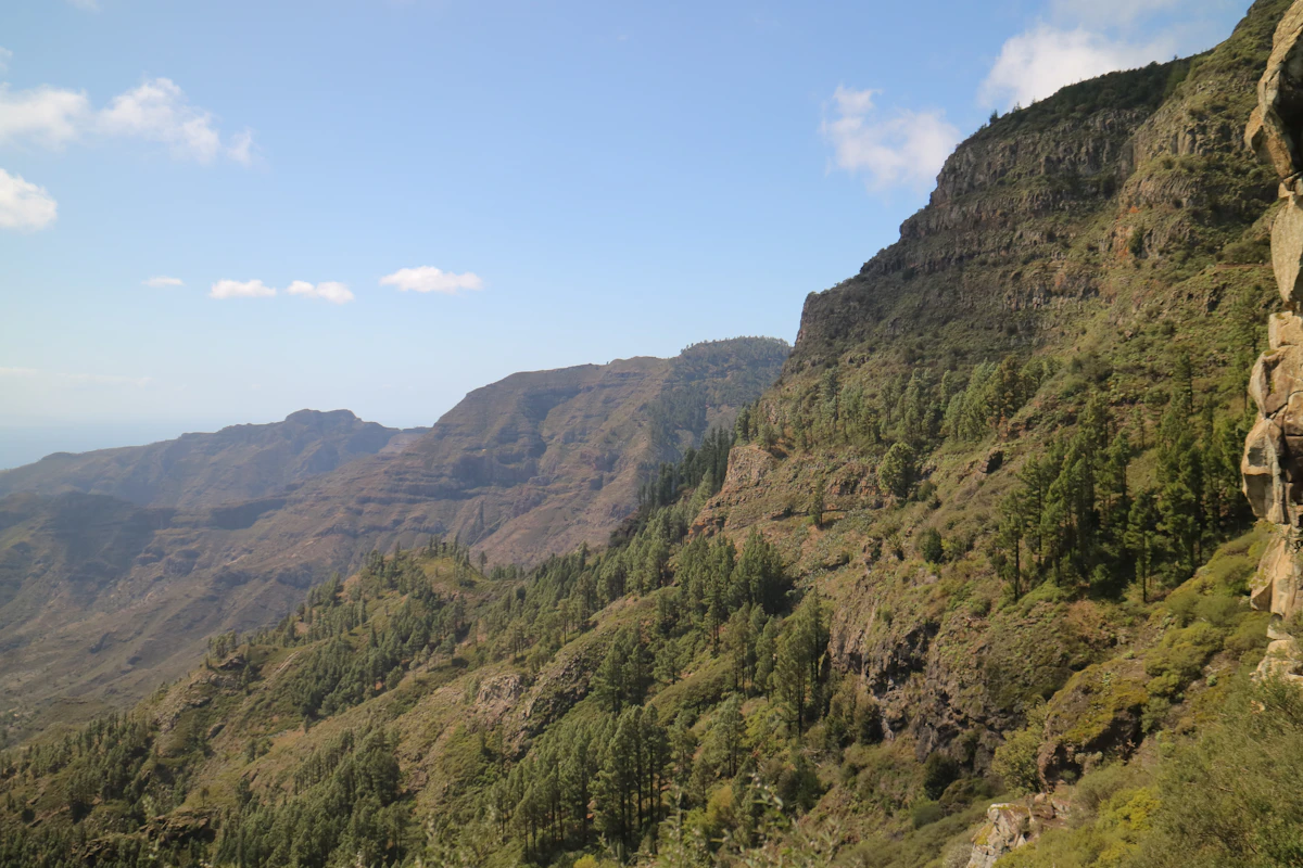 a view of a mountain side with trees on the side