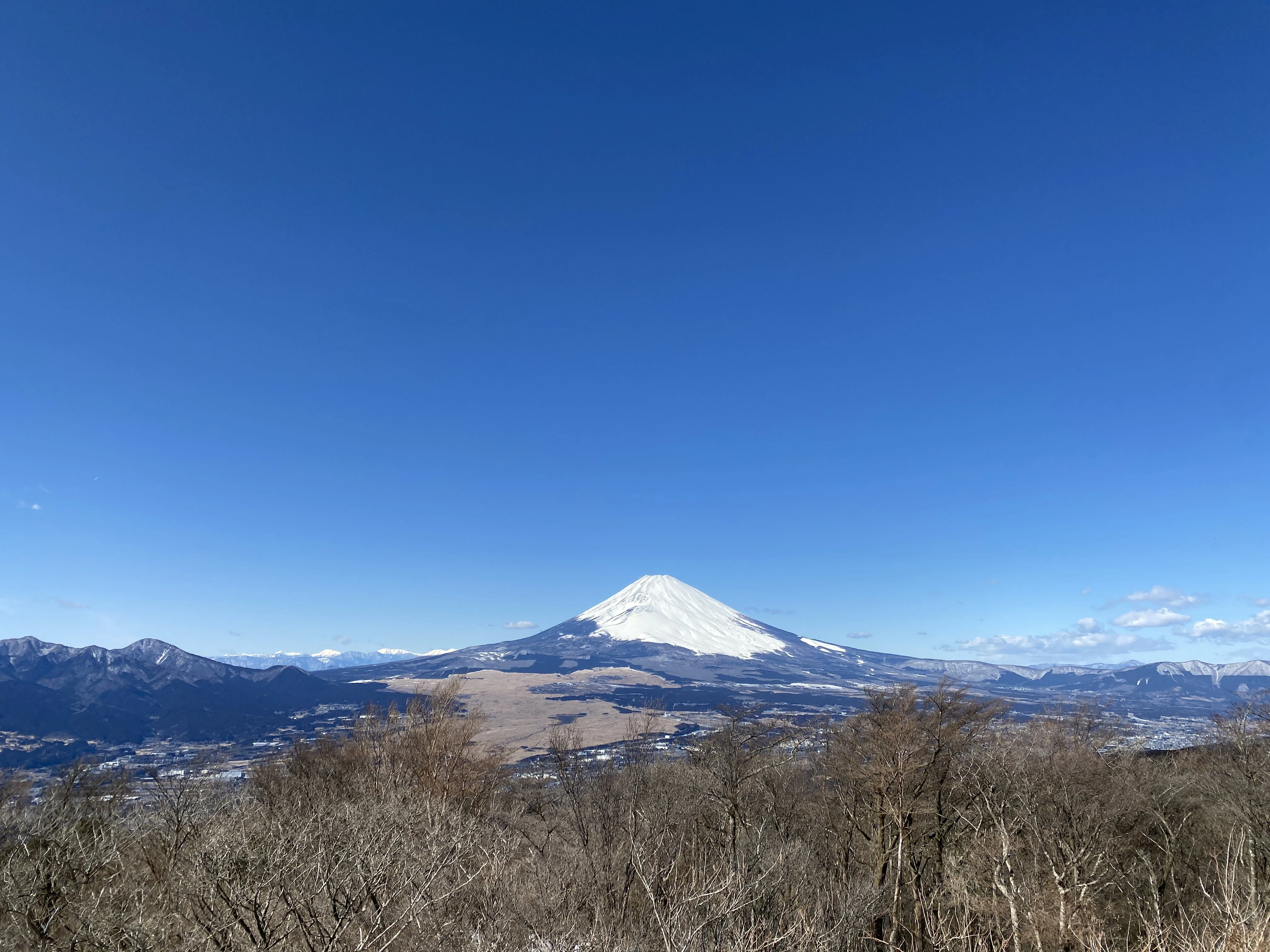 a view of a snow covered mountain with trees in the foreground