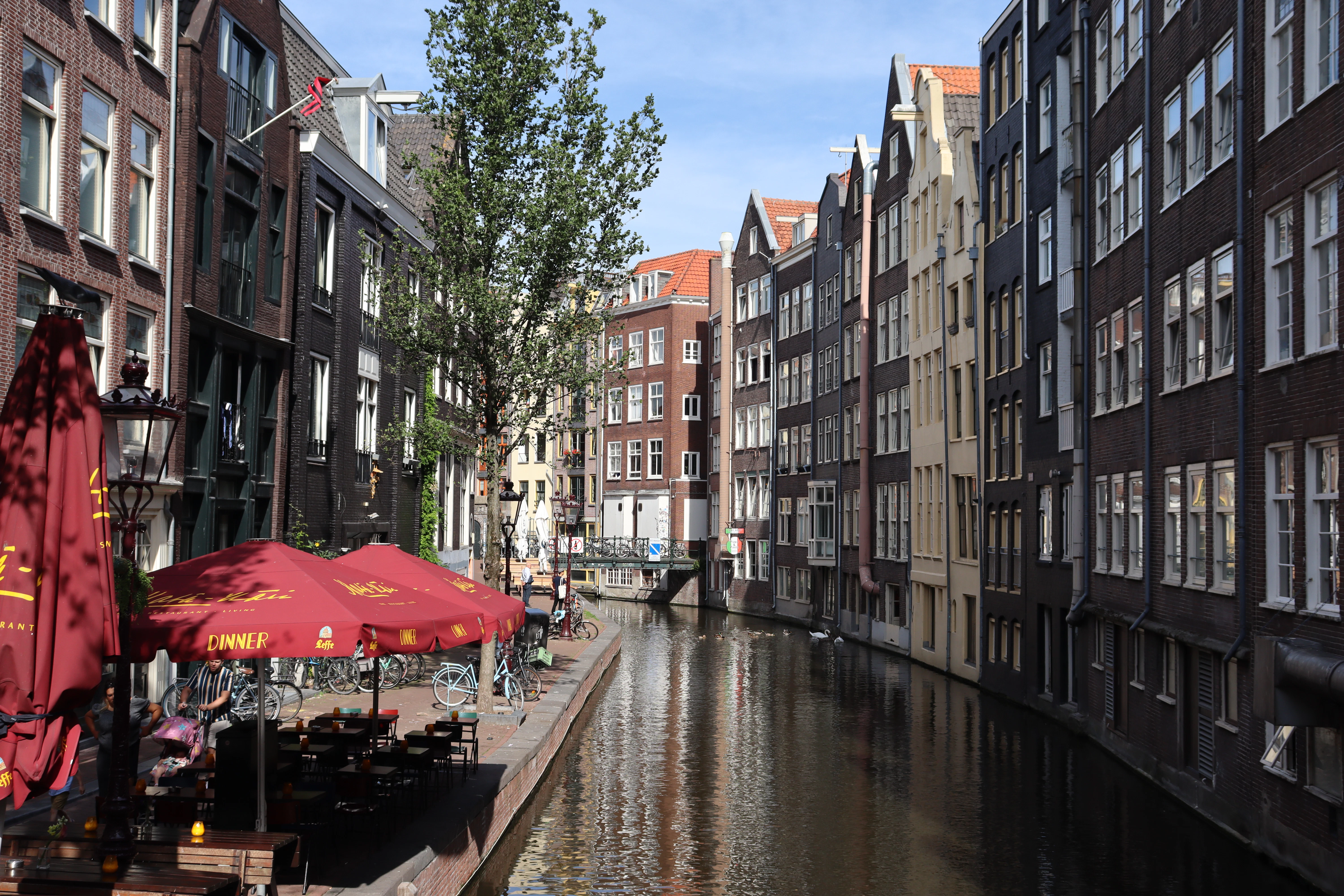 a canal with buildings and umbrellas with Bruges in the background
