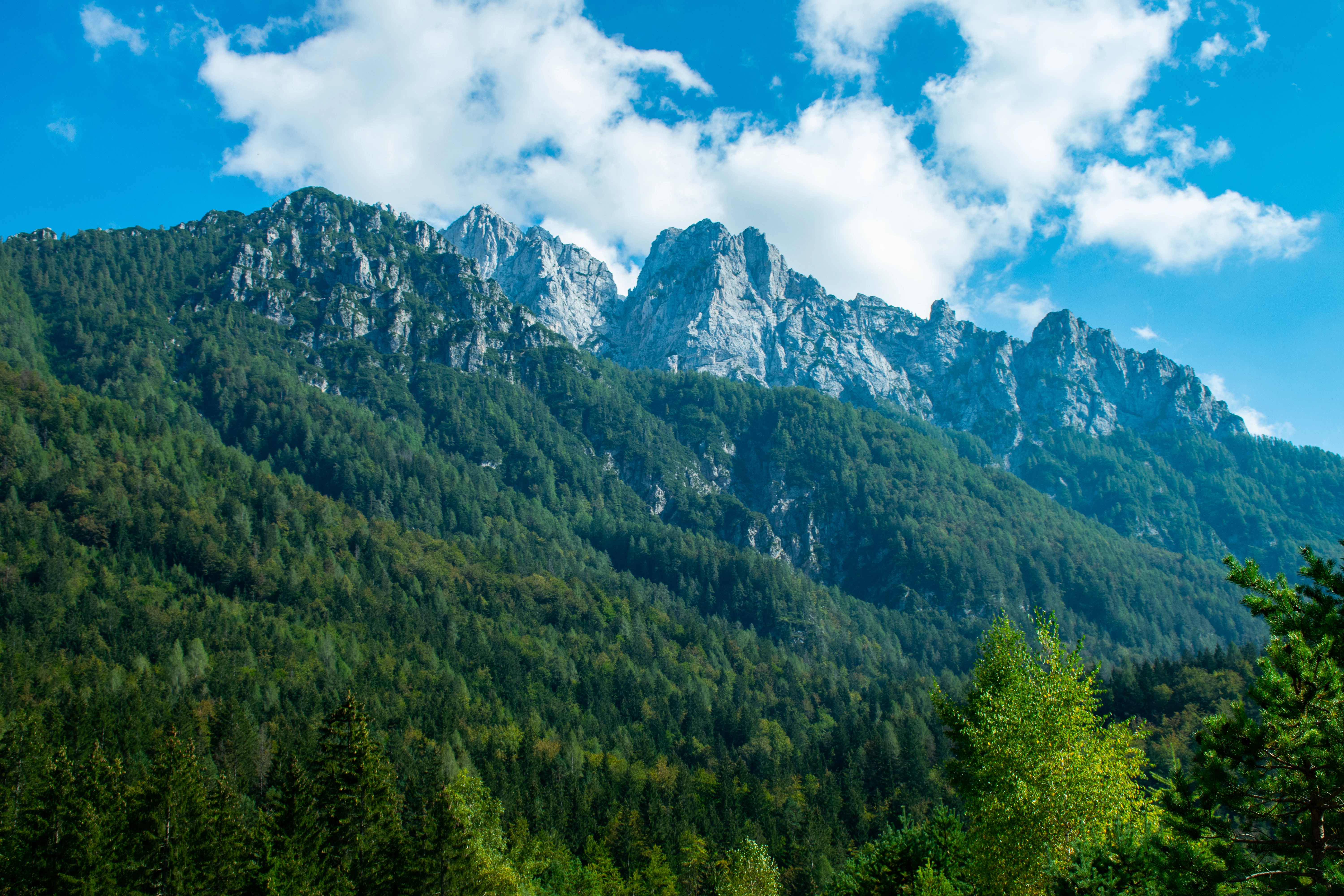 green trees and mountain under blue sky and white clouds during daytime