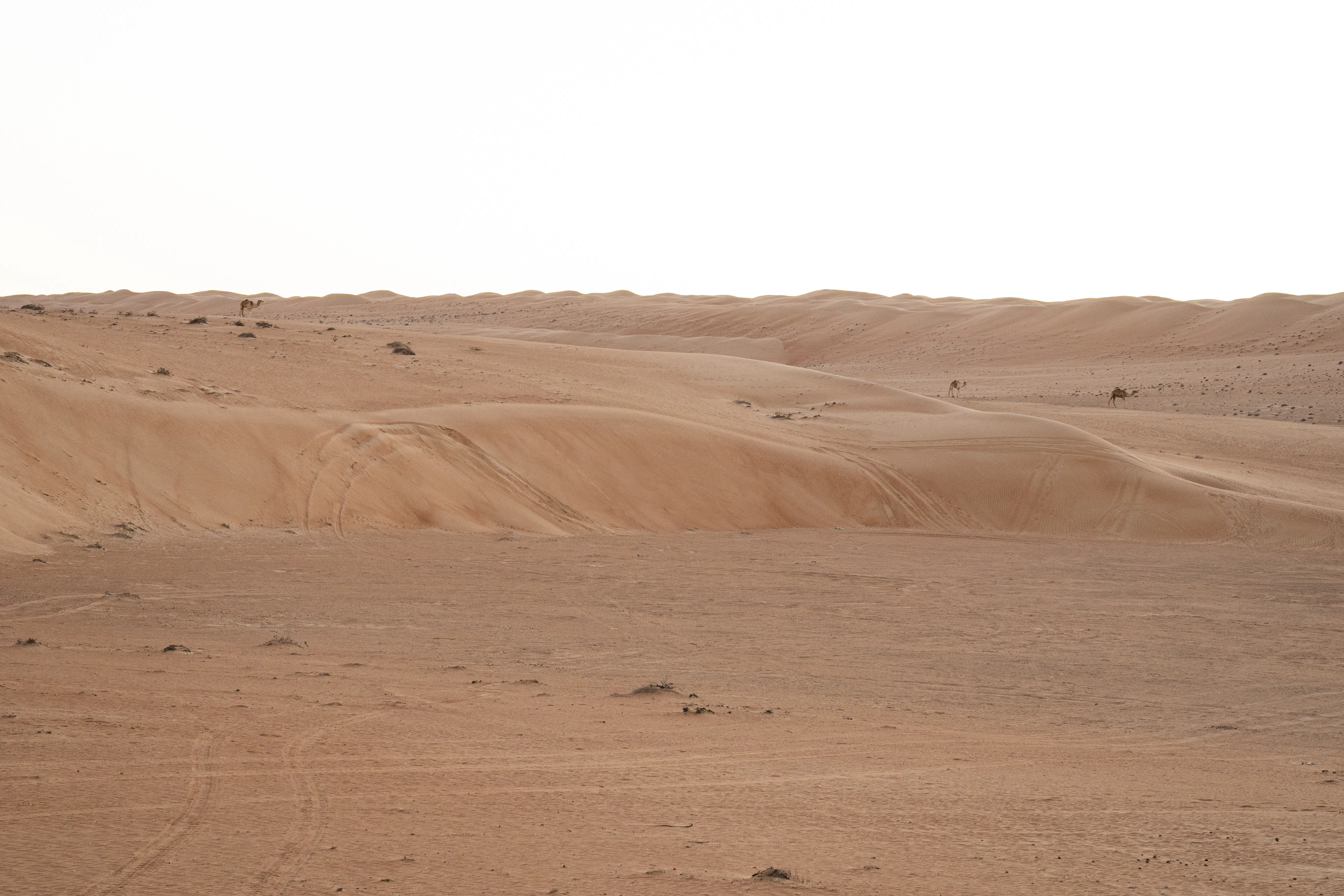 white snow covered field during daytime