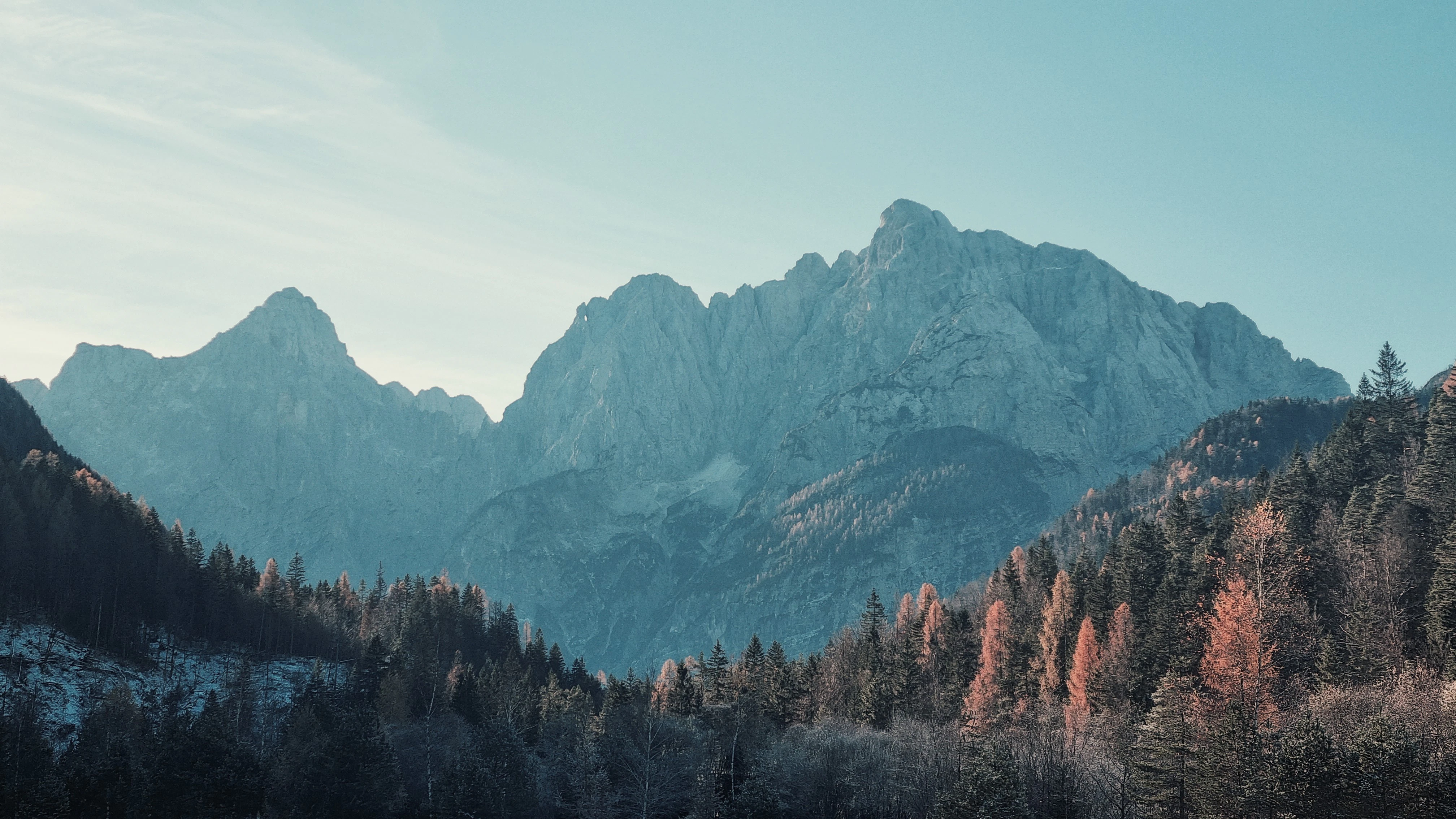 Majestic mountain range with pine forest in foreground.
