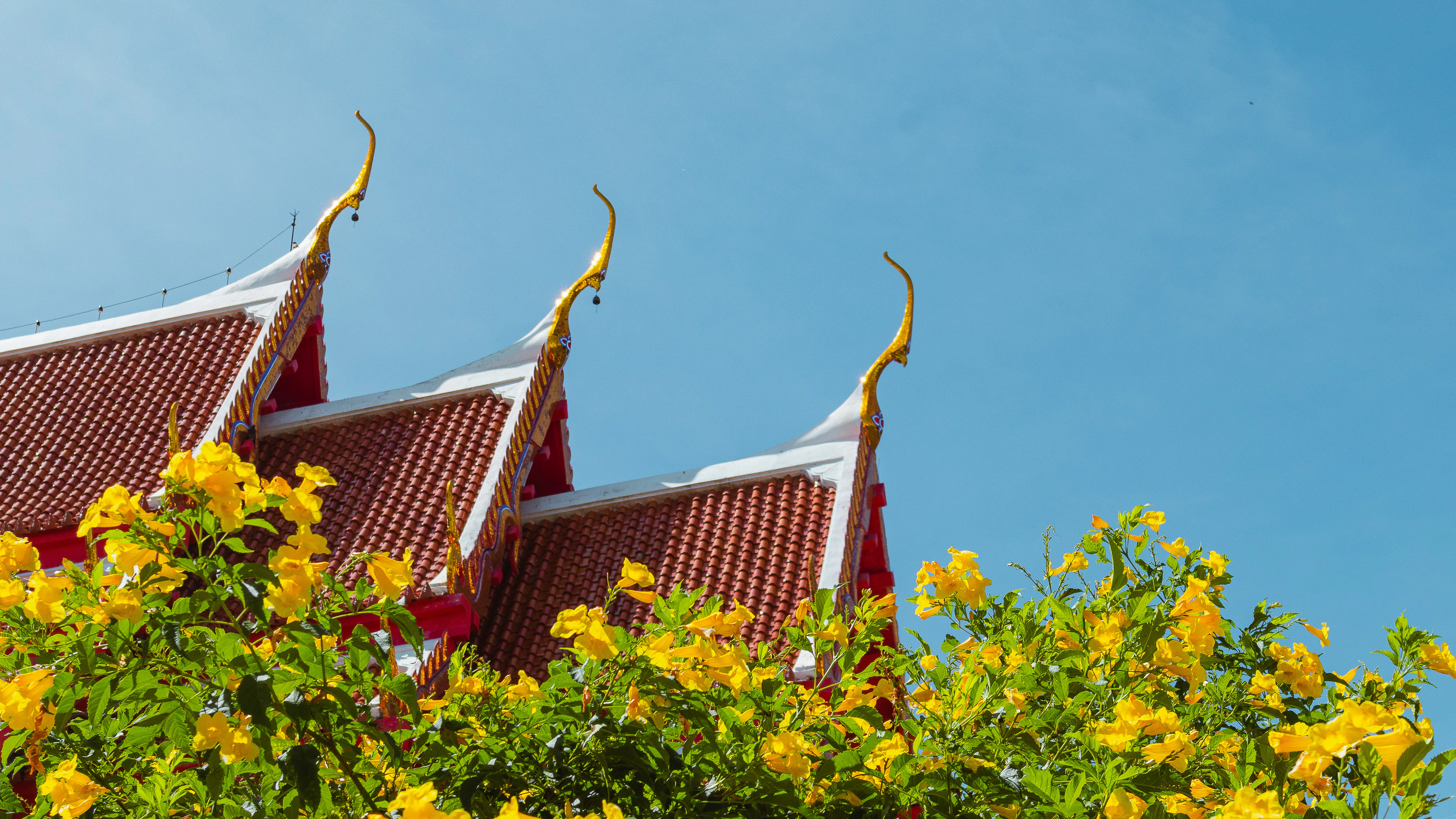three red and white building with yellow flowers in front of it