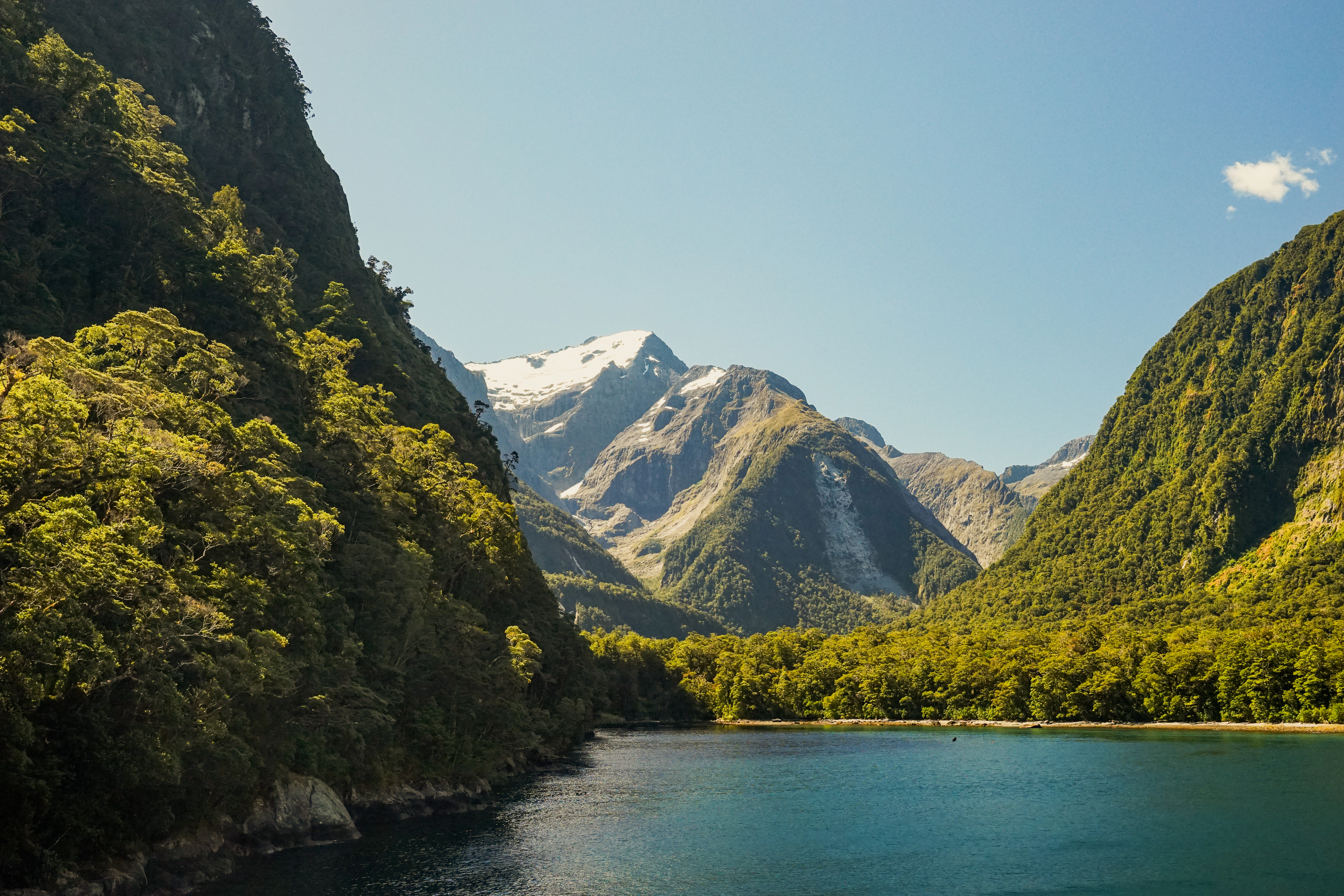 A lake surrounded by green mountains and trees