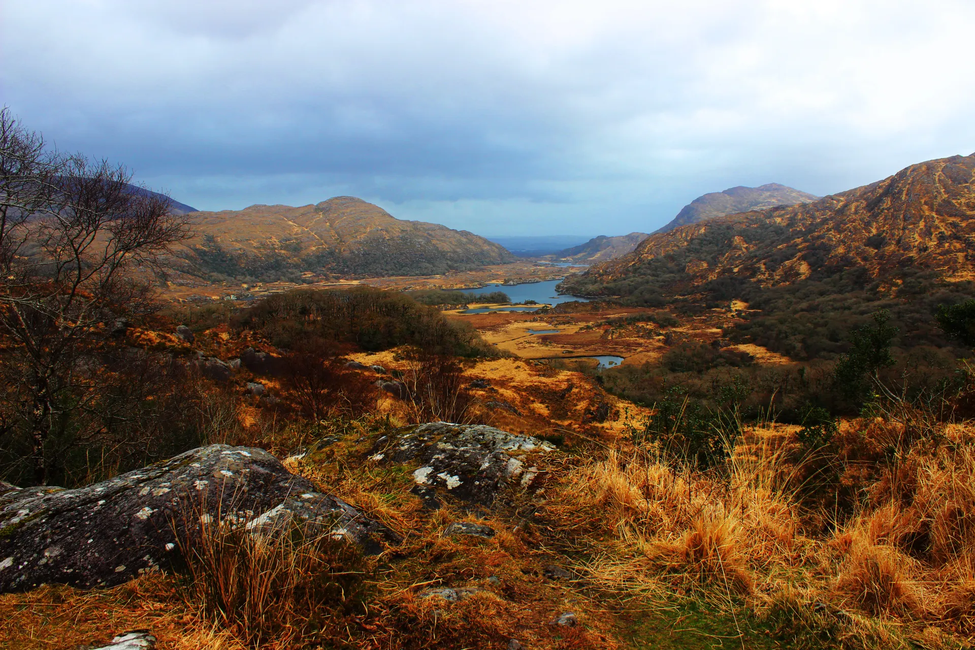 landscape near water