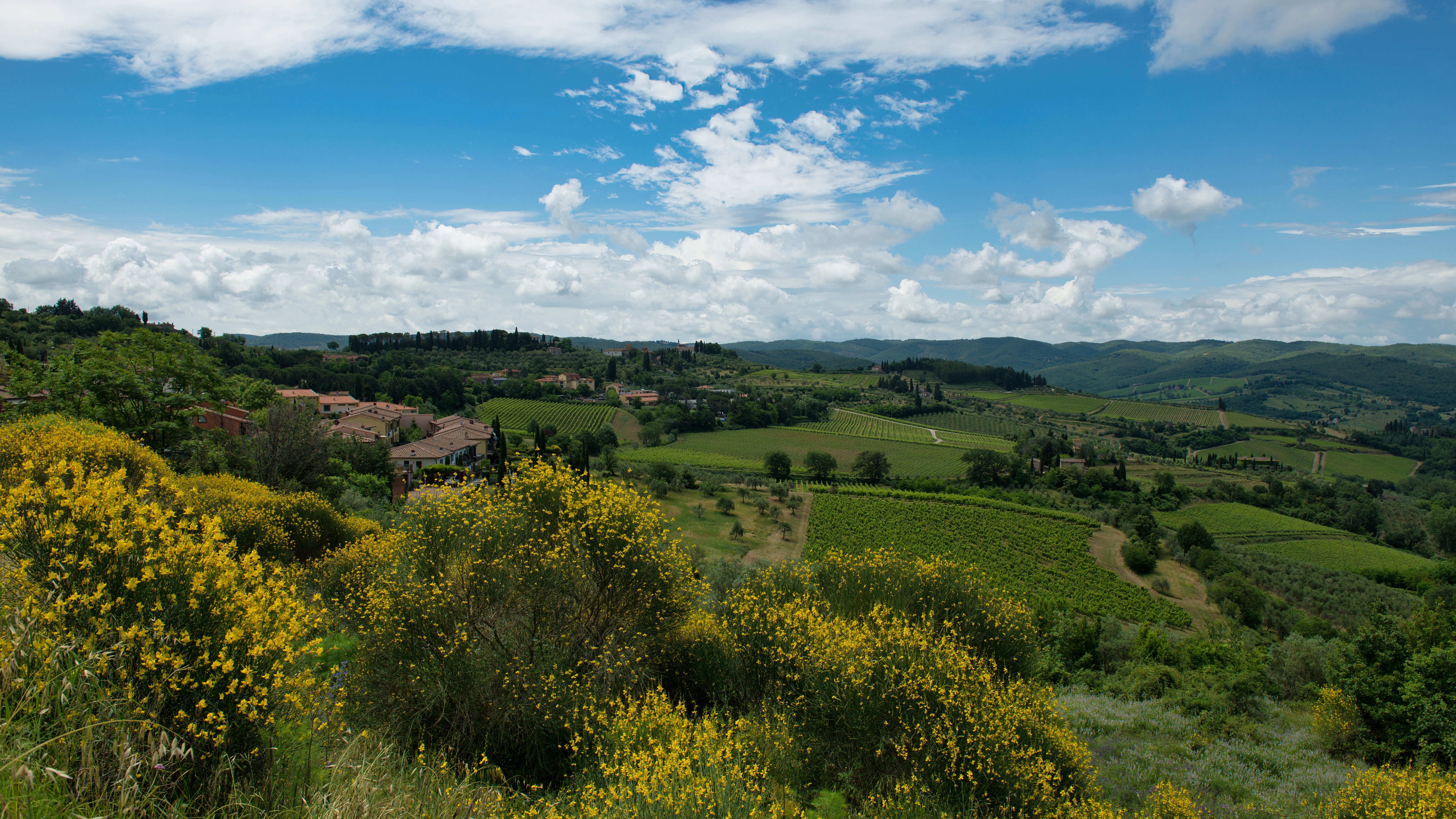 Rolling green hills with yellow blooming bushes under blue sky.