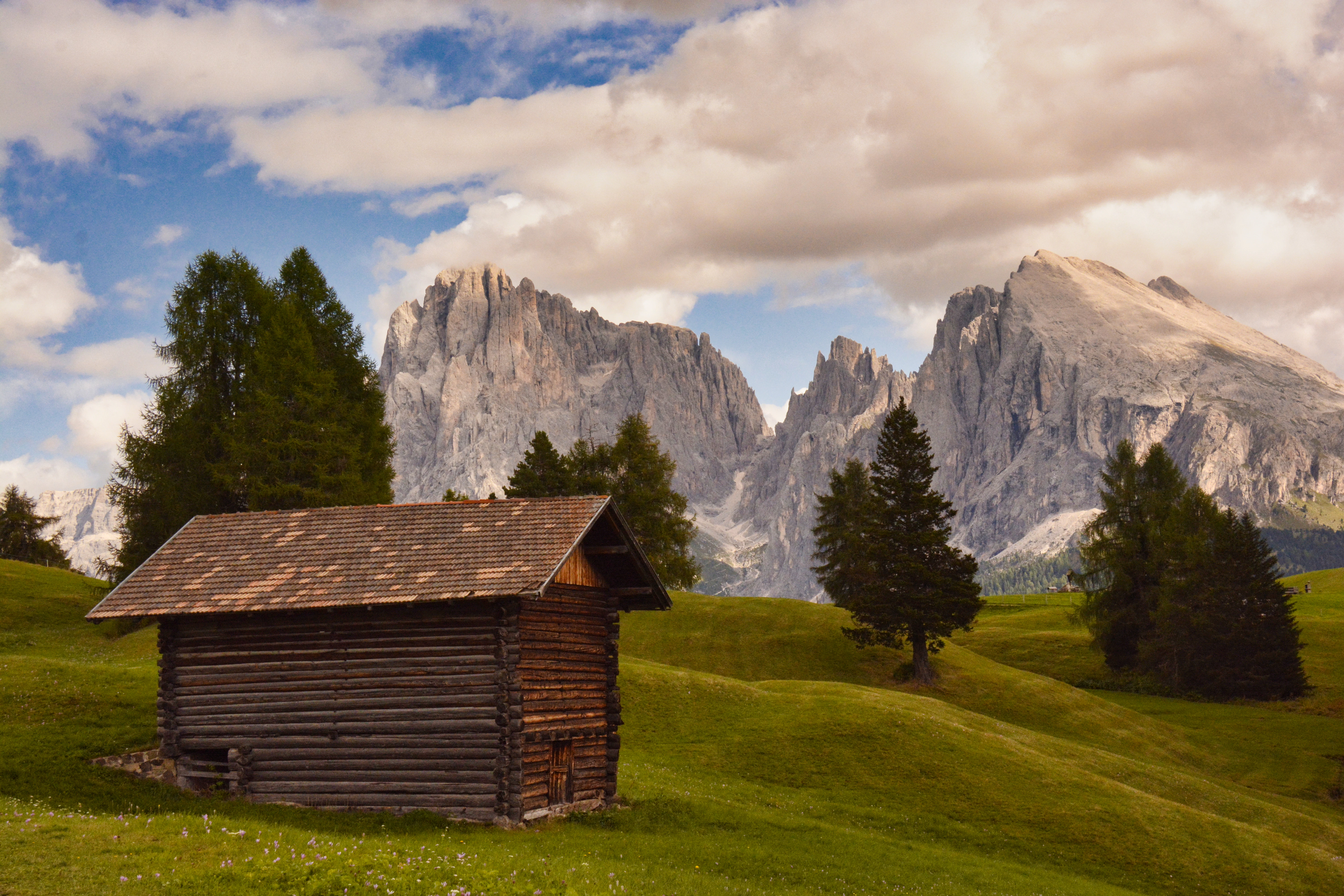 A cabin in a field with mountains in the background