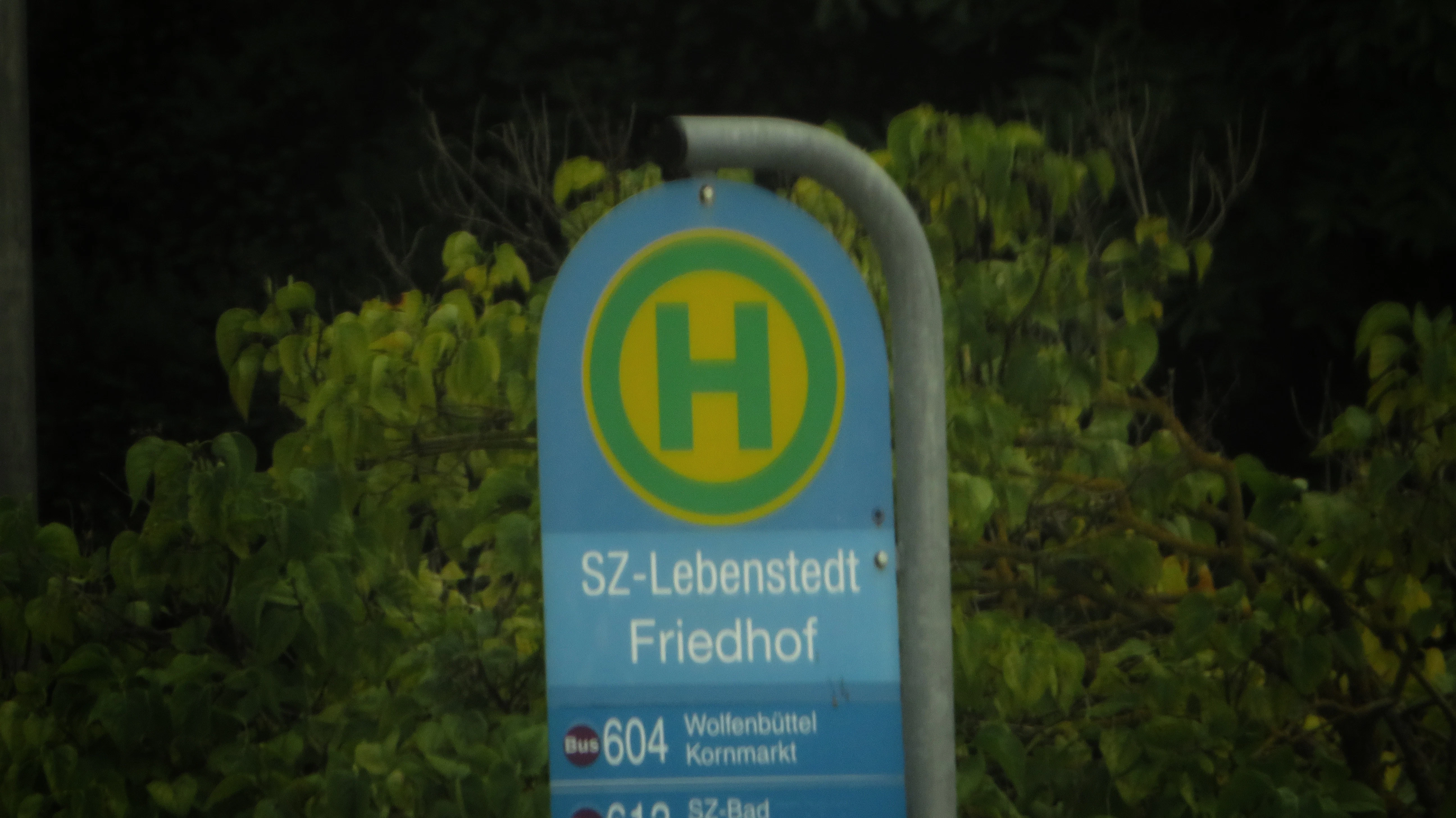 a blue sign sitting in front of a lush green forest