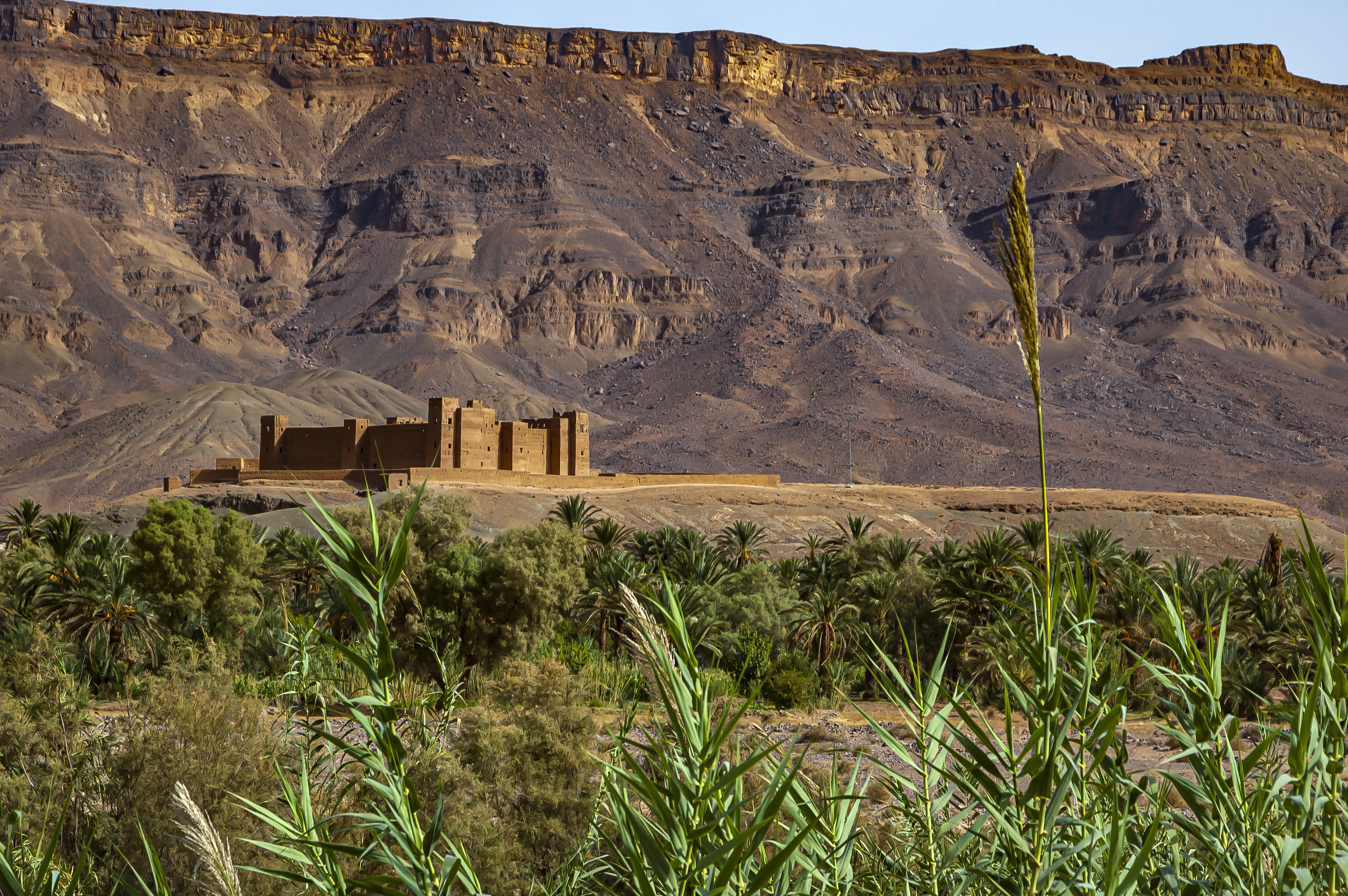 A desert landscape with mountains in the background