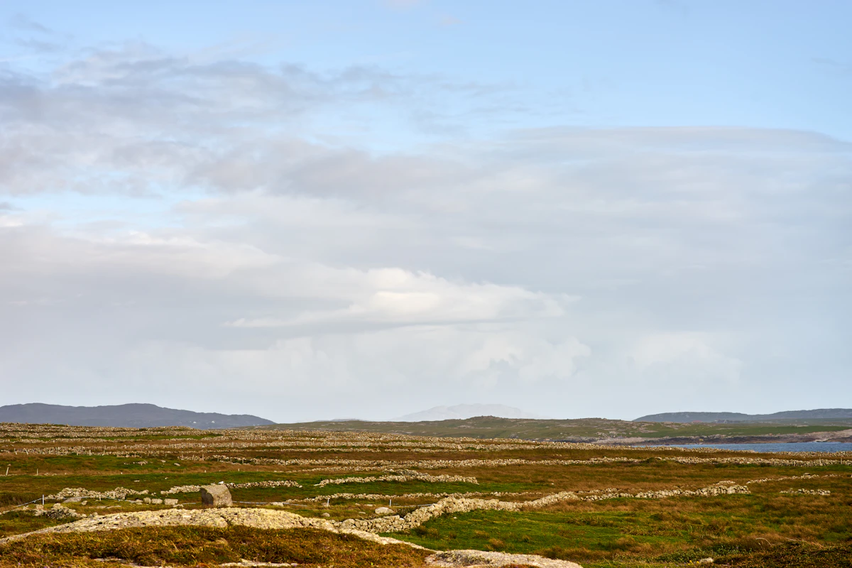 aerial view of green field during daytime