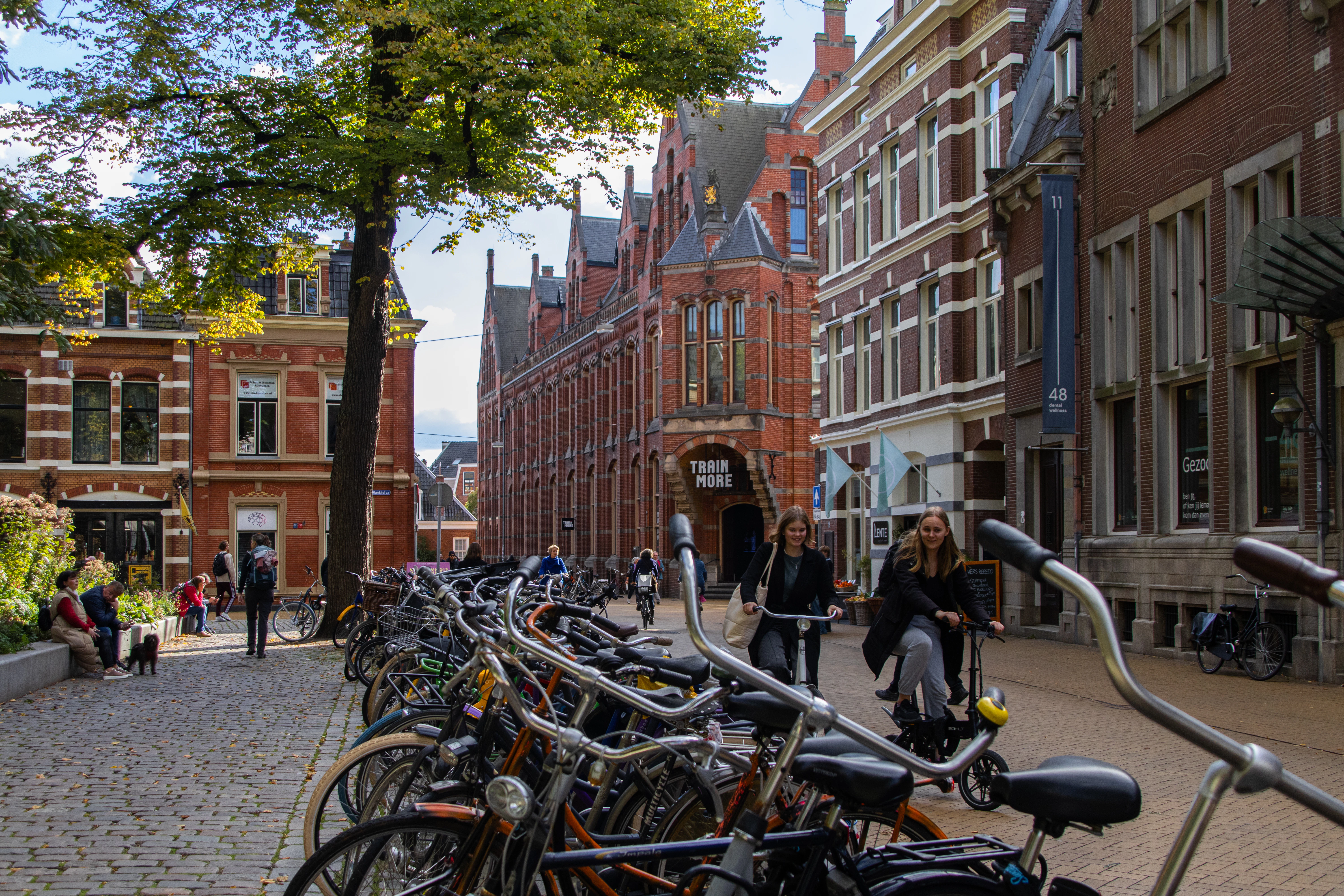A row of bikes parked next to each other on a street