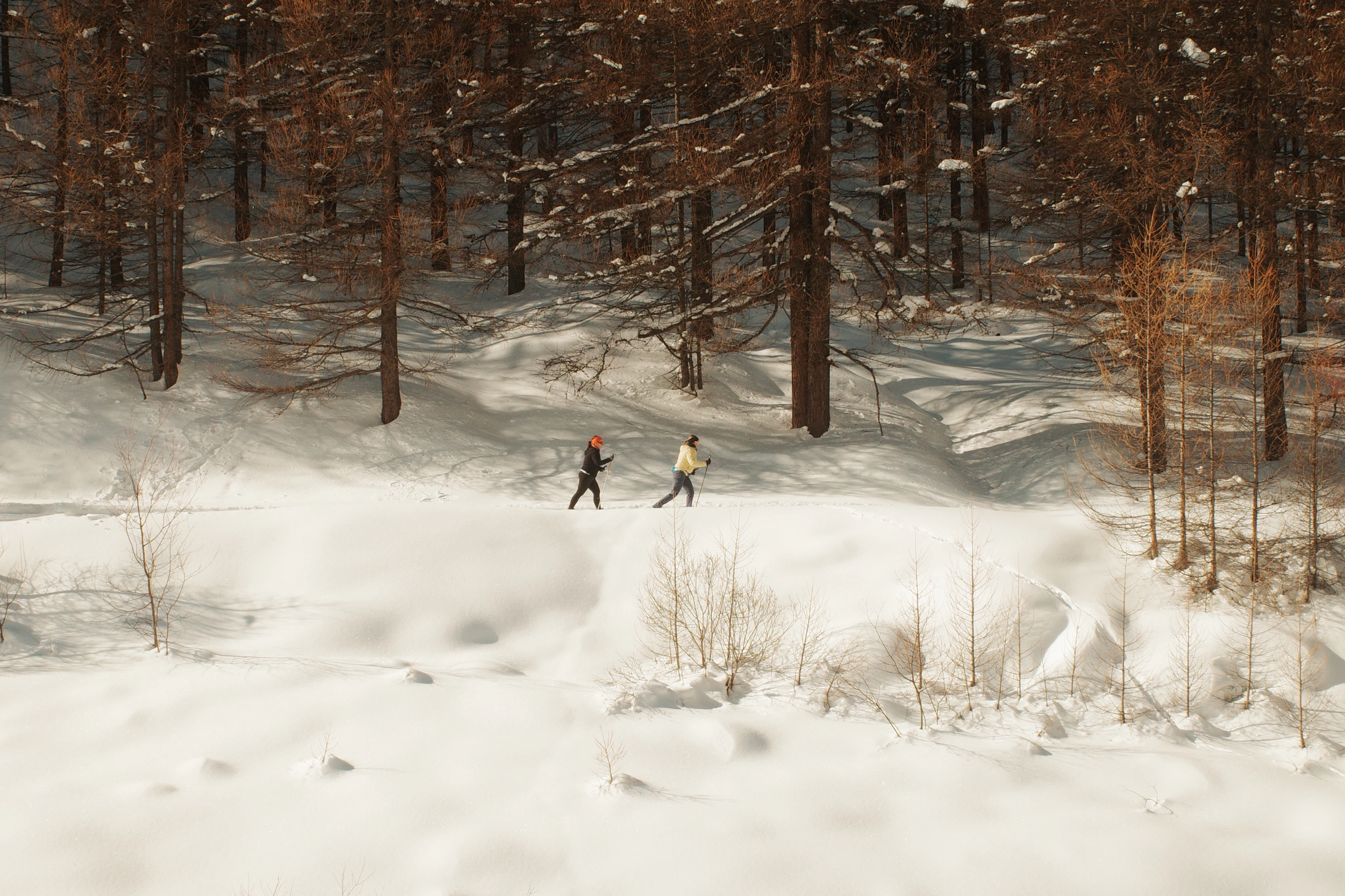 Two people cross-country skiing on a snowy path.
