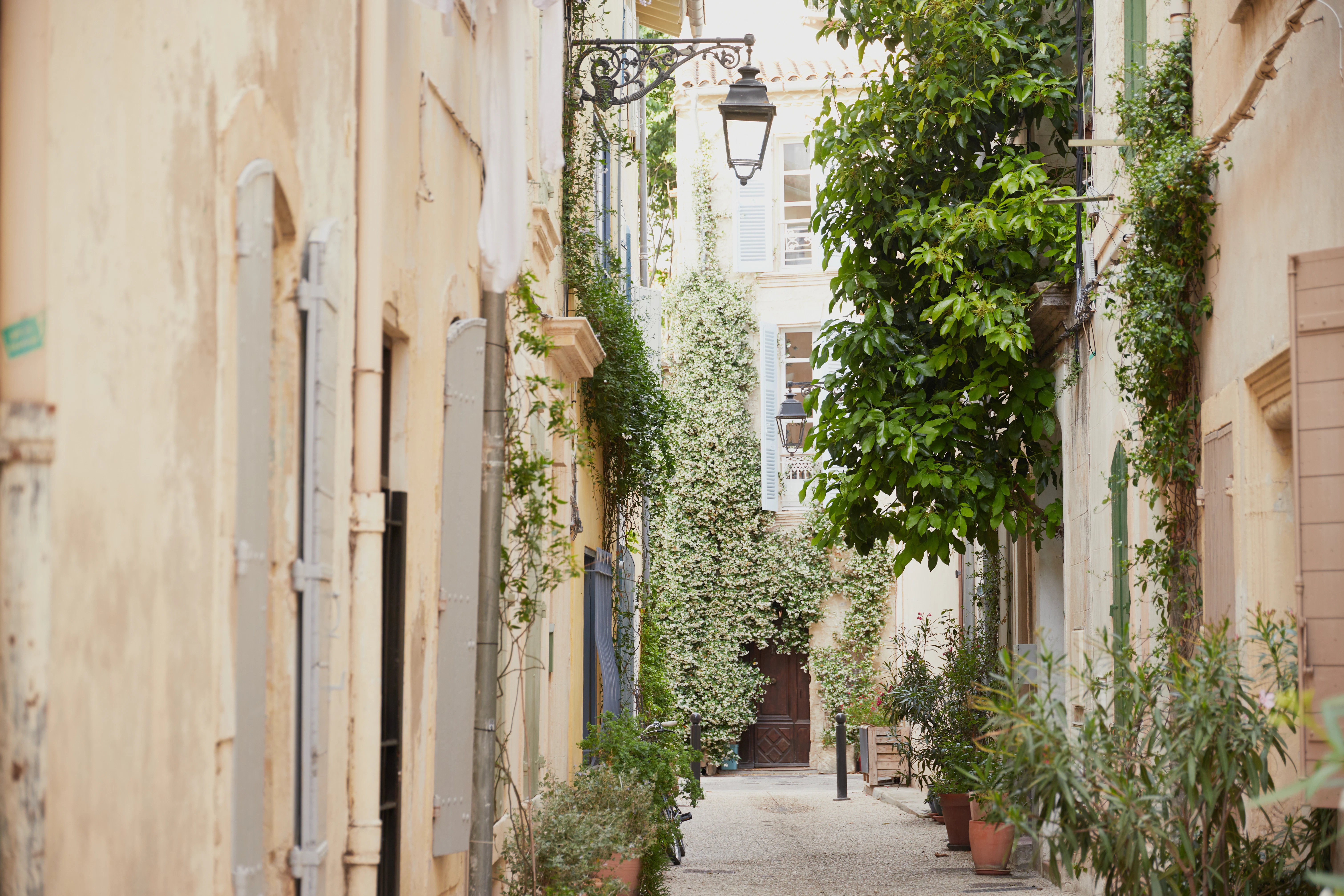 A narrow alley way with potted plants on either side