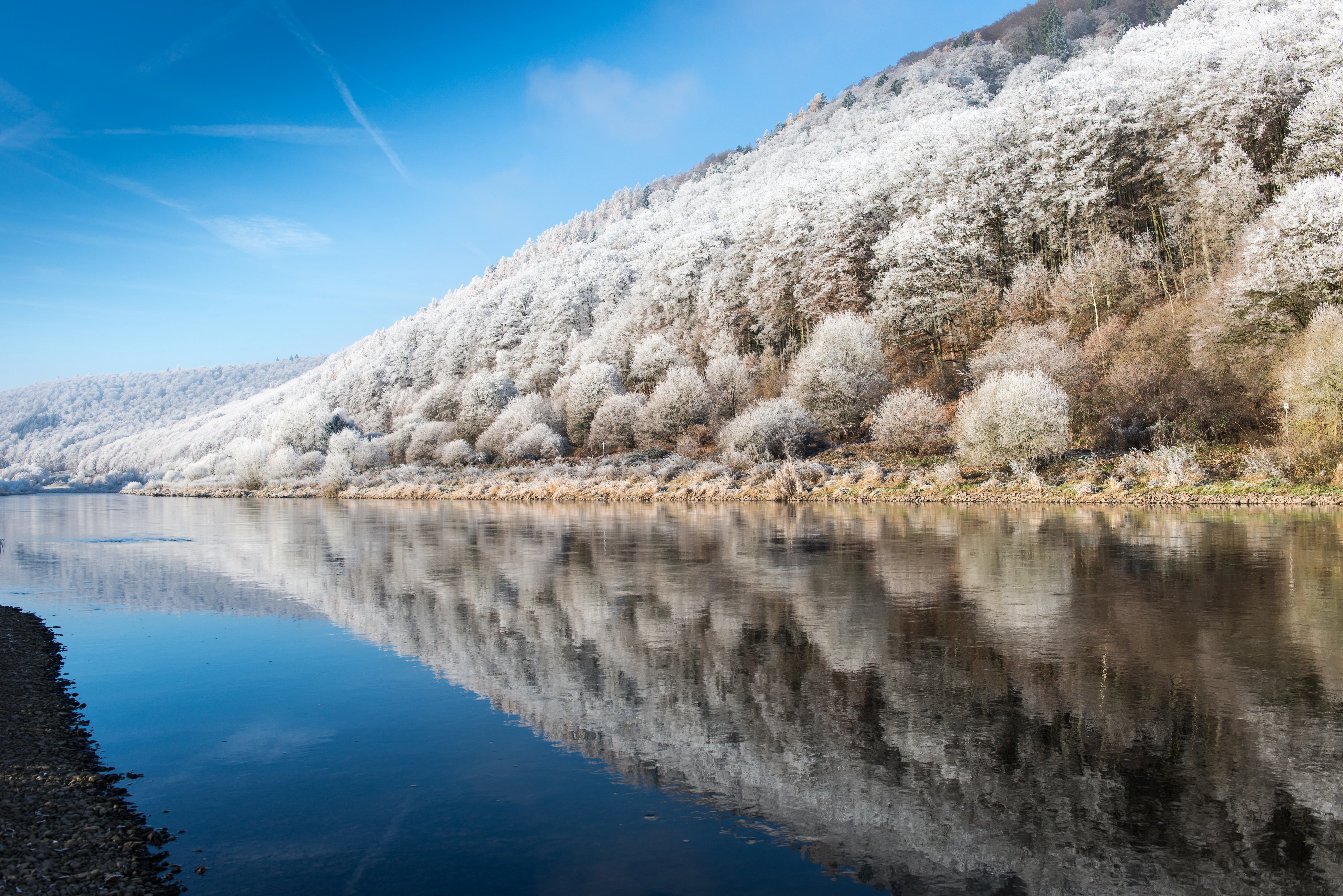 Snow-covered trees reflected in a calm lake