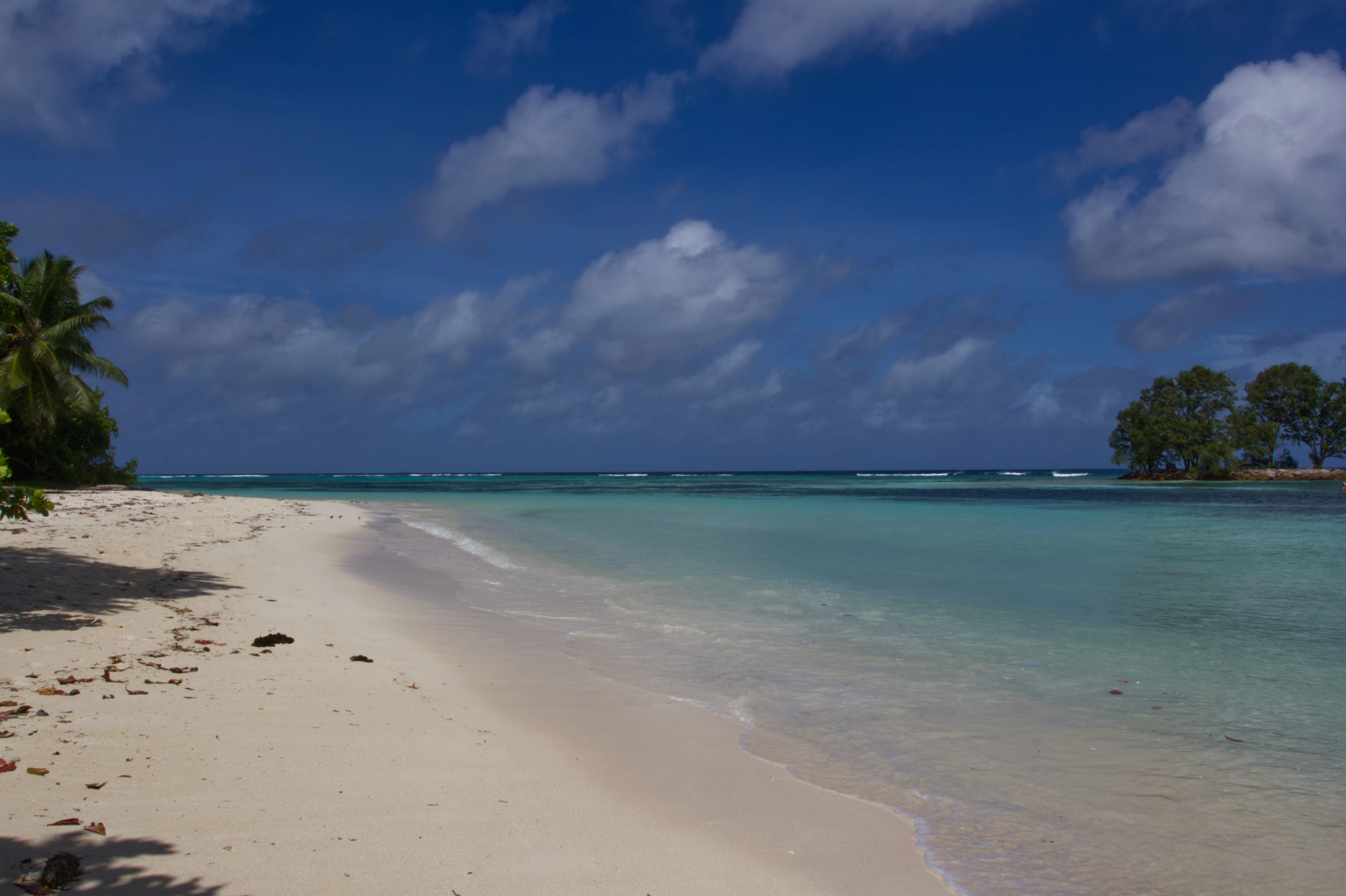 white sand beach under blue sky during daytime