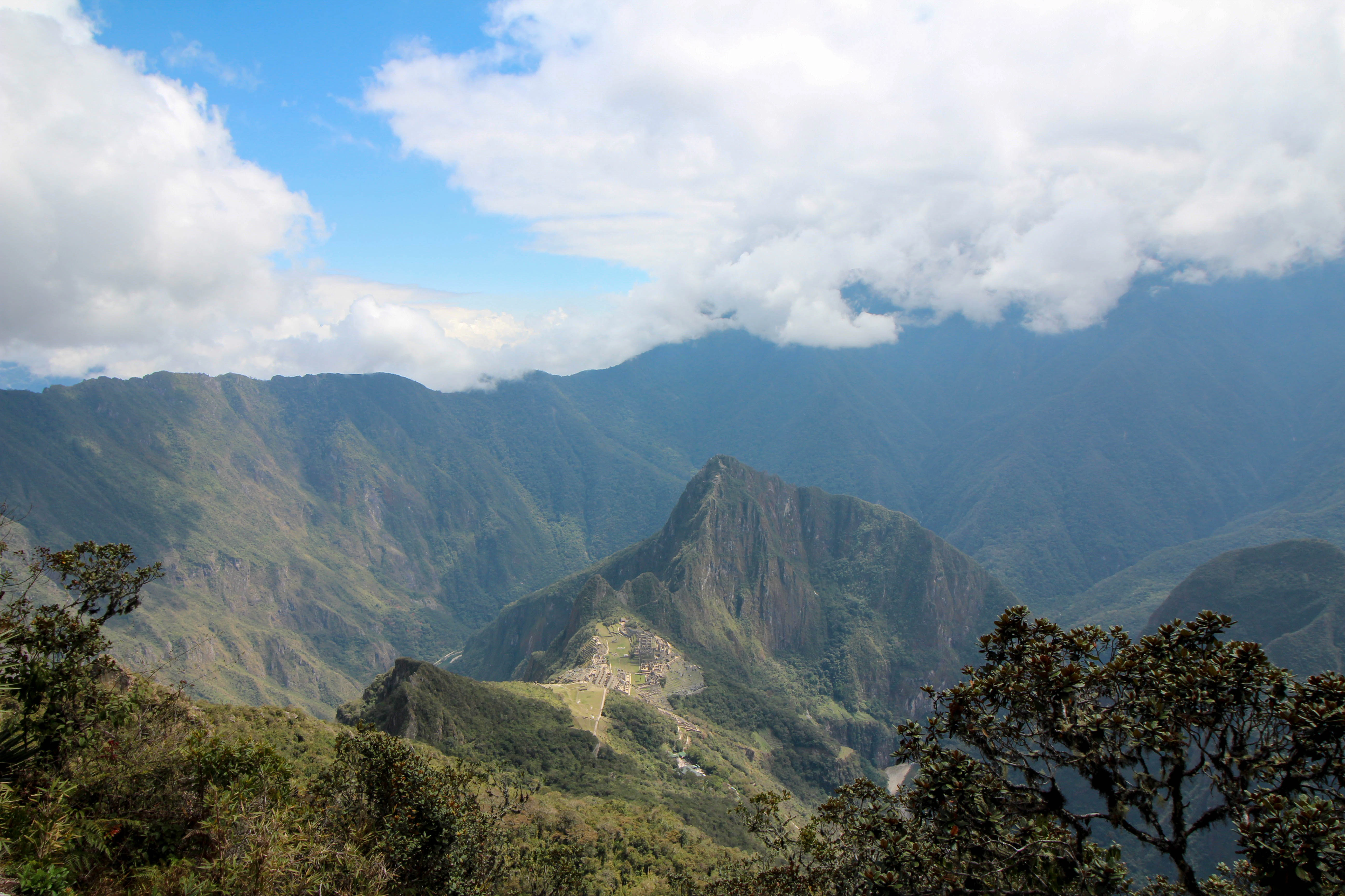 a valley with trees and mountains in the background